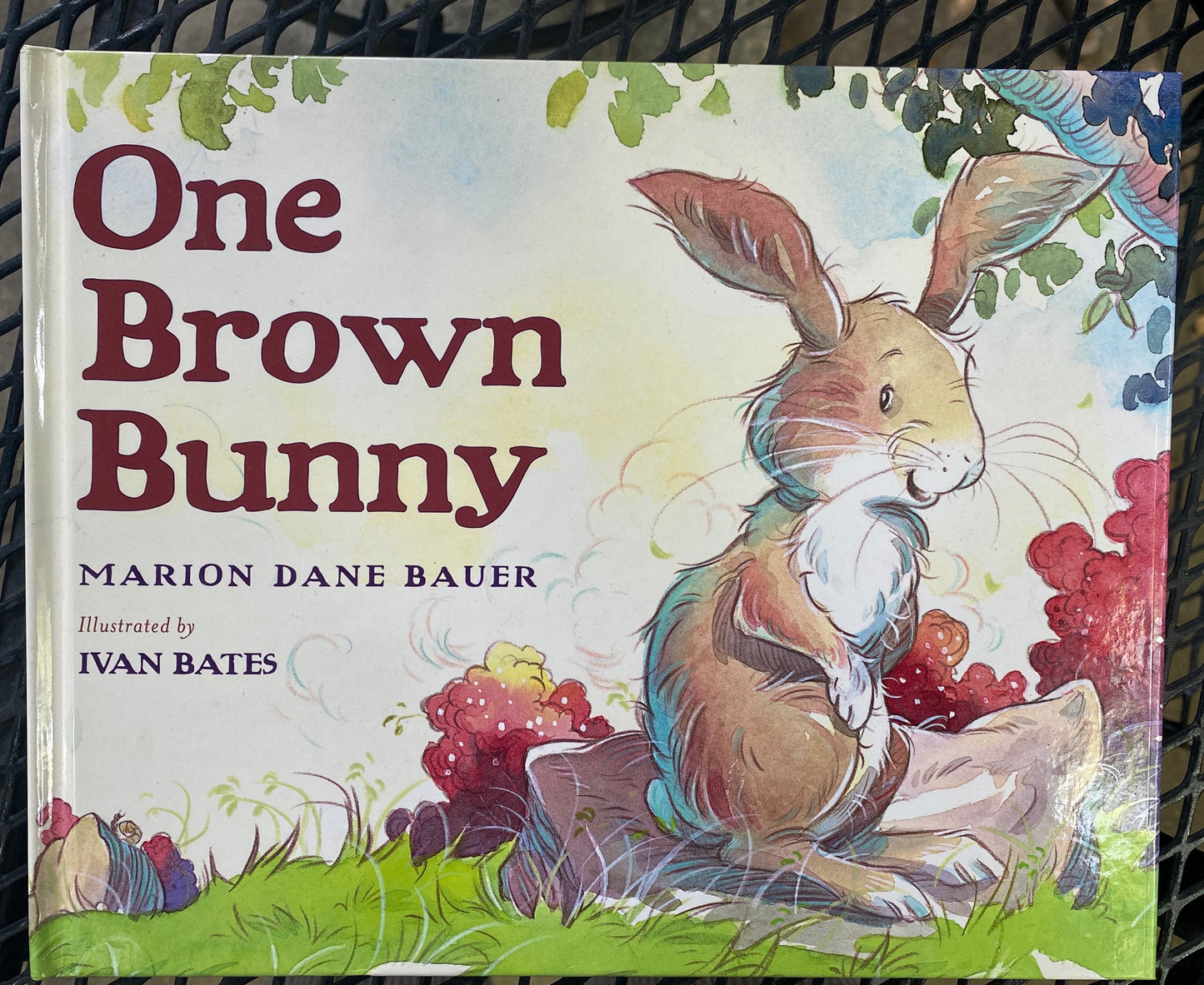 One Brown Bunny