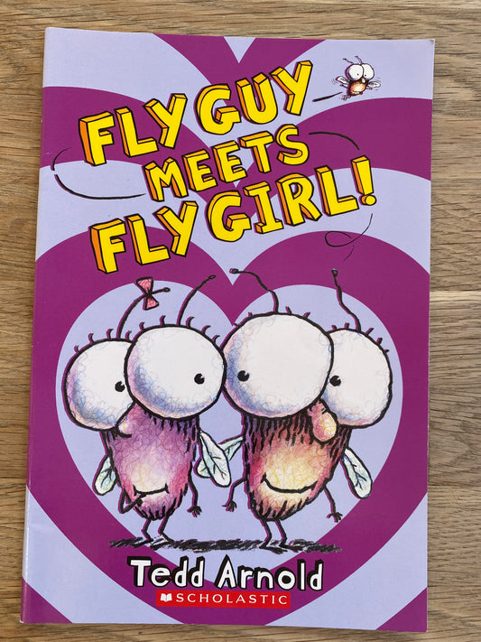 Fly Guy Meets Fly Girl