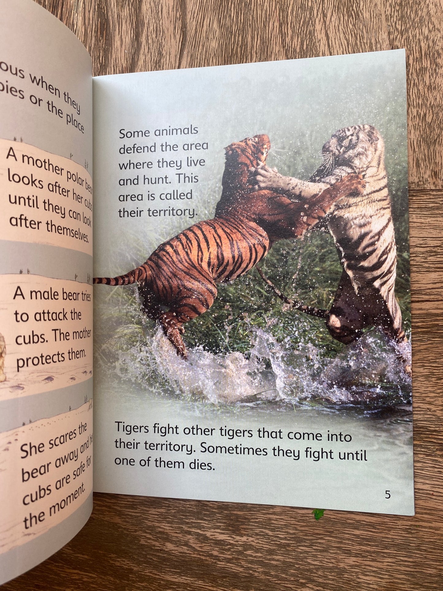 Dangerous Animals - Usborne