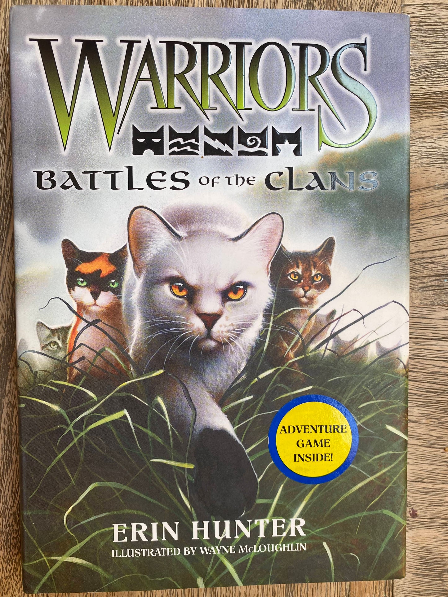 Warriors - Battles of the Clans