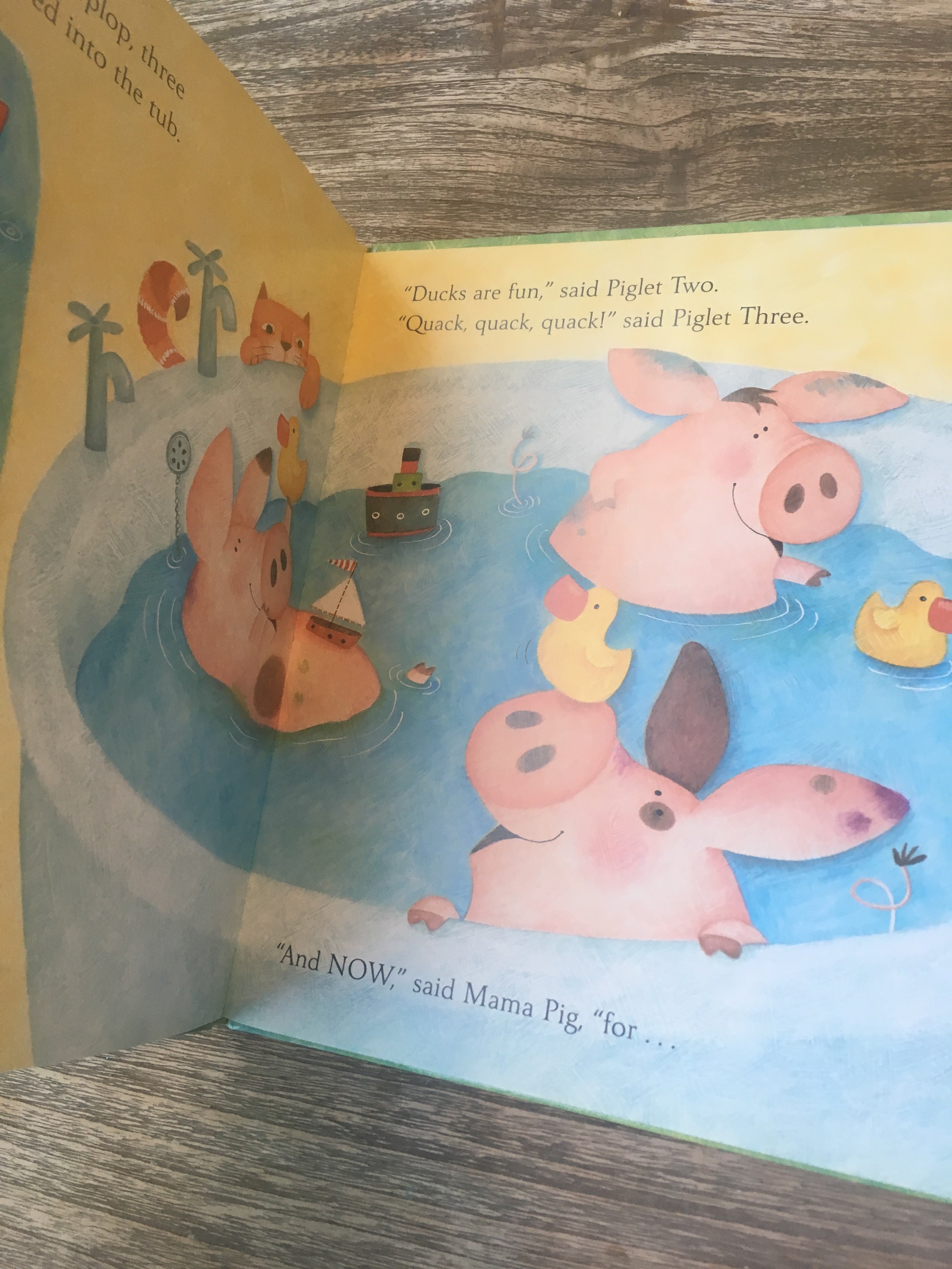 Squeaky Clean Hardcover book