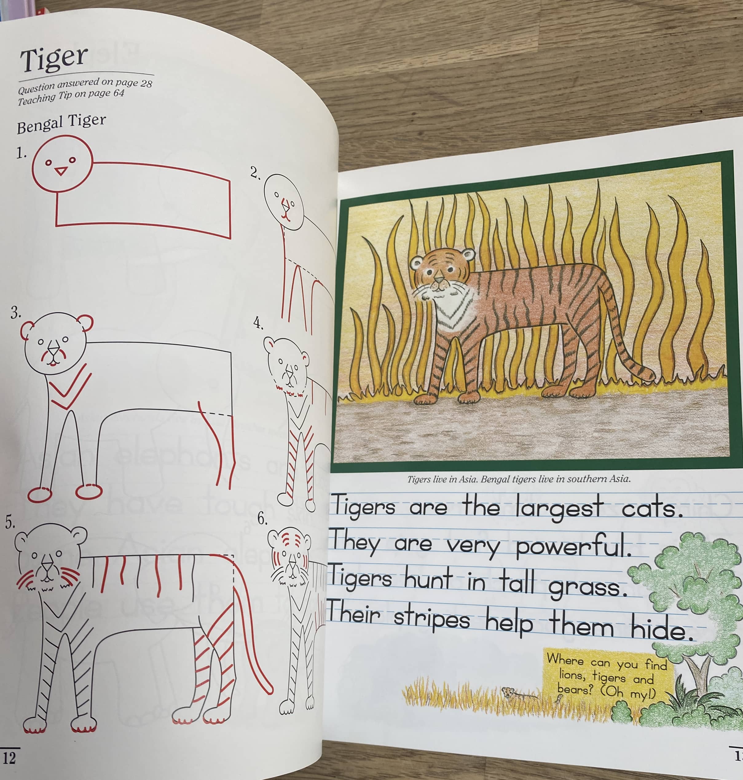 Draw Write Now - Animals of the World, Part I (Pre-Loved)