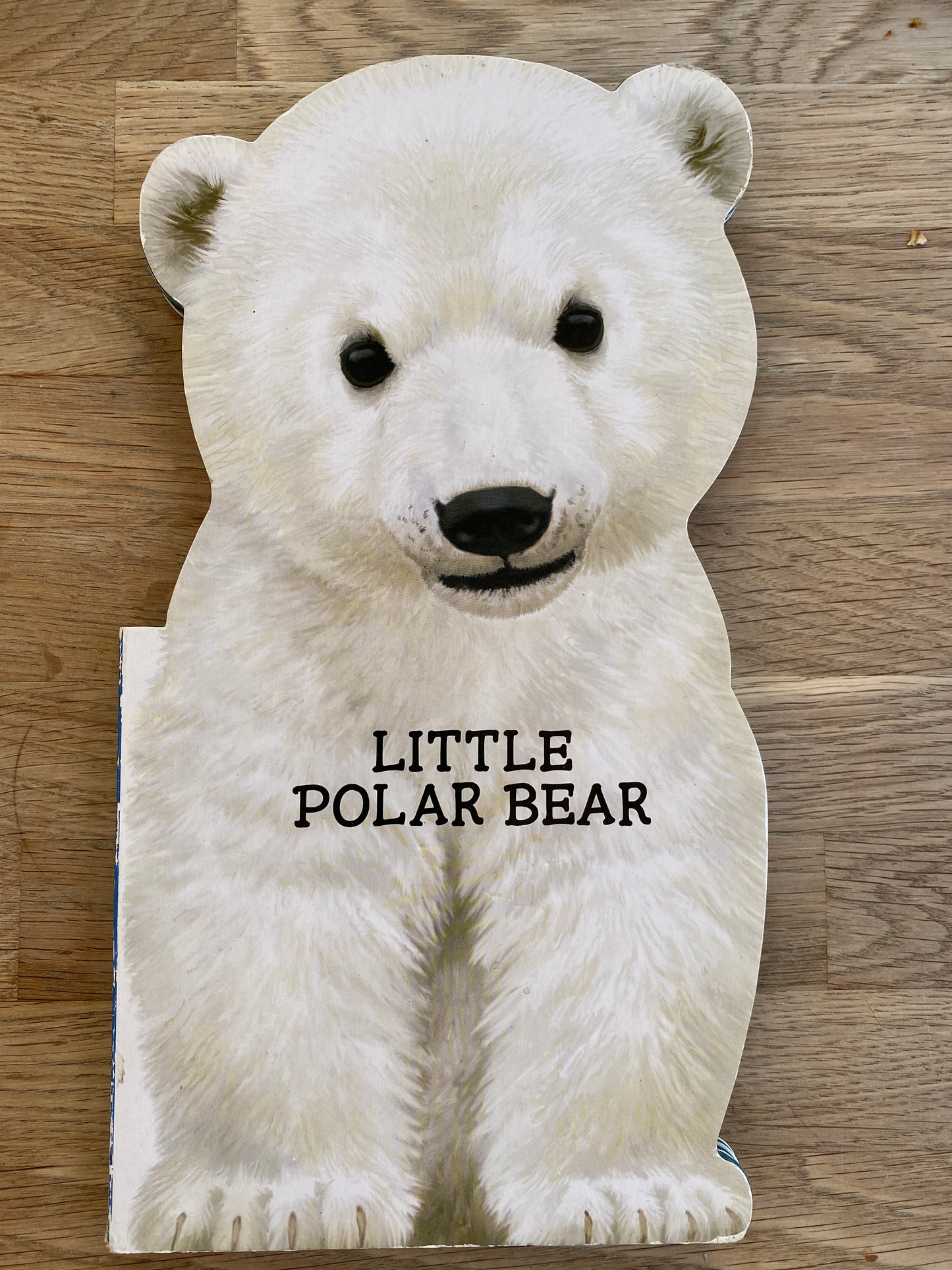 Little Polar Bear