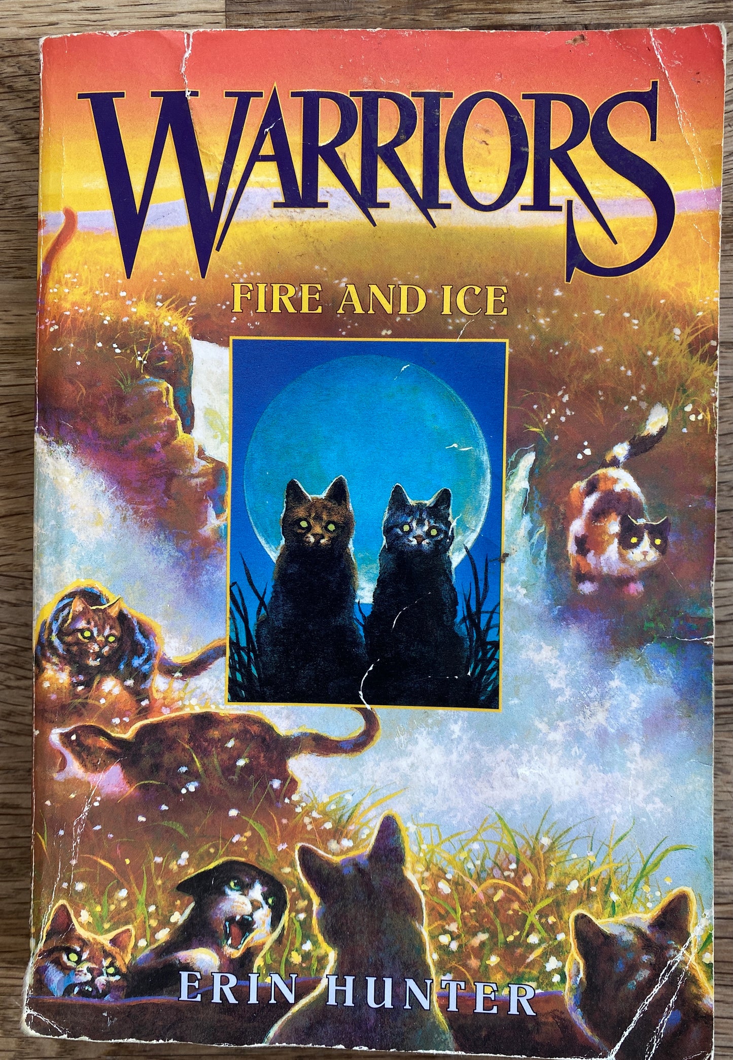 Warriors Book 2 - Fire and Ice - Erin Hunter