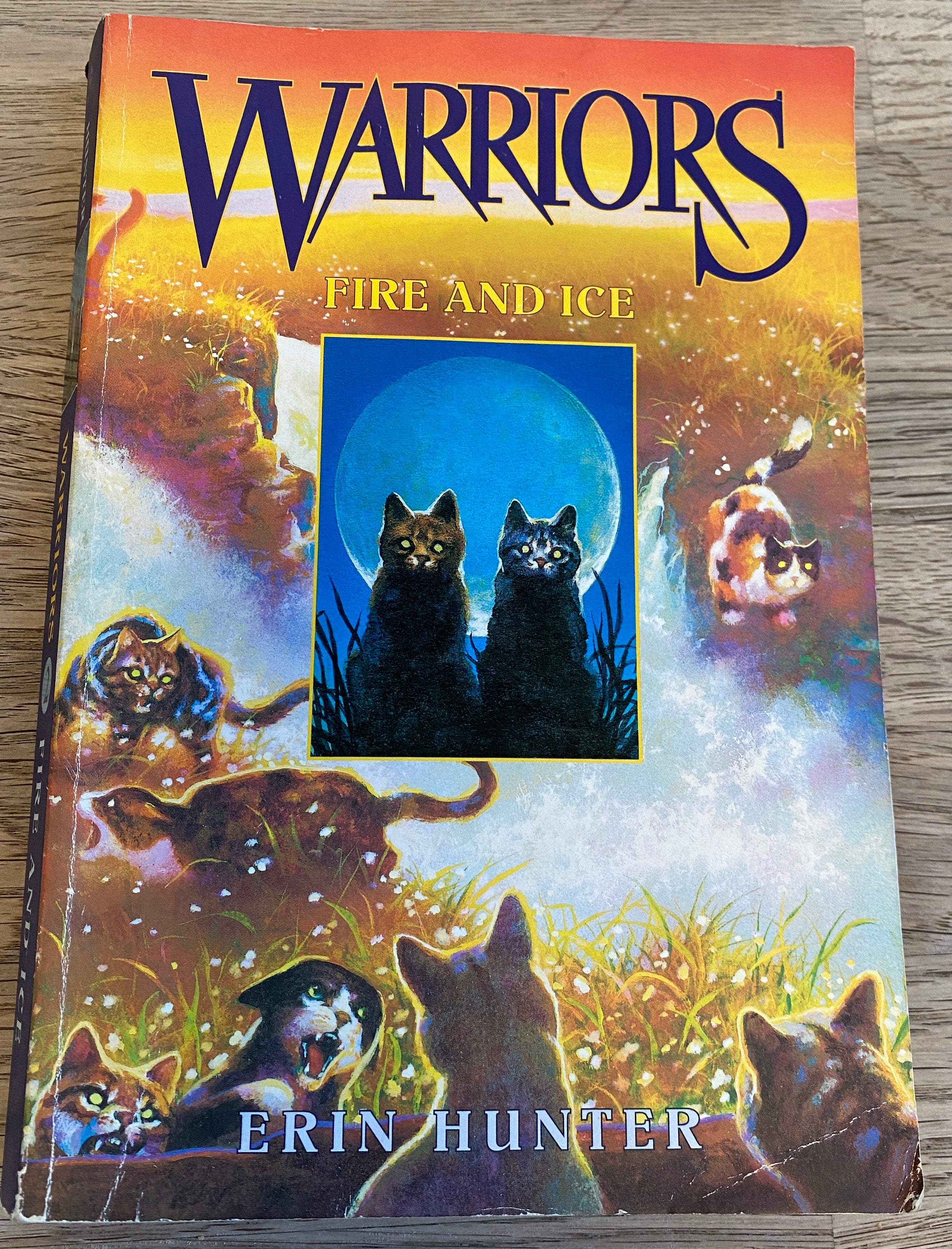 Warriors - Fire and Ice - Book 2 by Erin Hunter