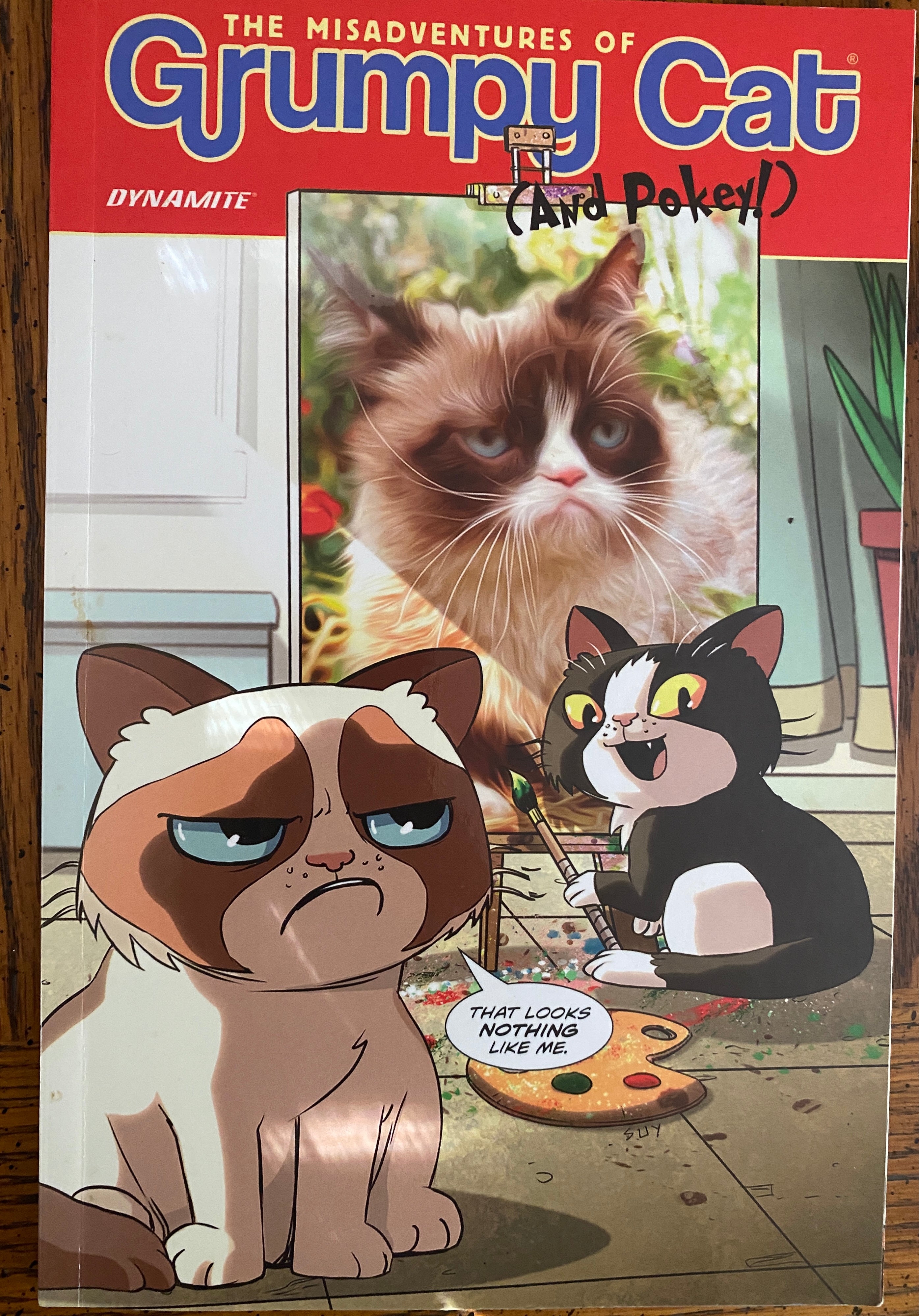 The Misadventures of Grumpy Cat (And Pokey!)
