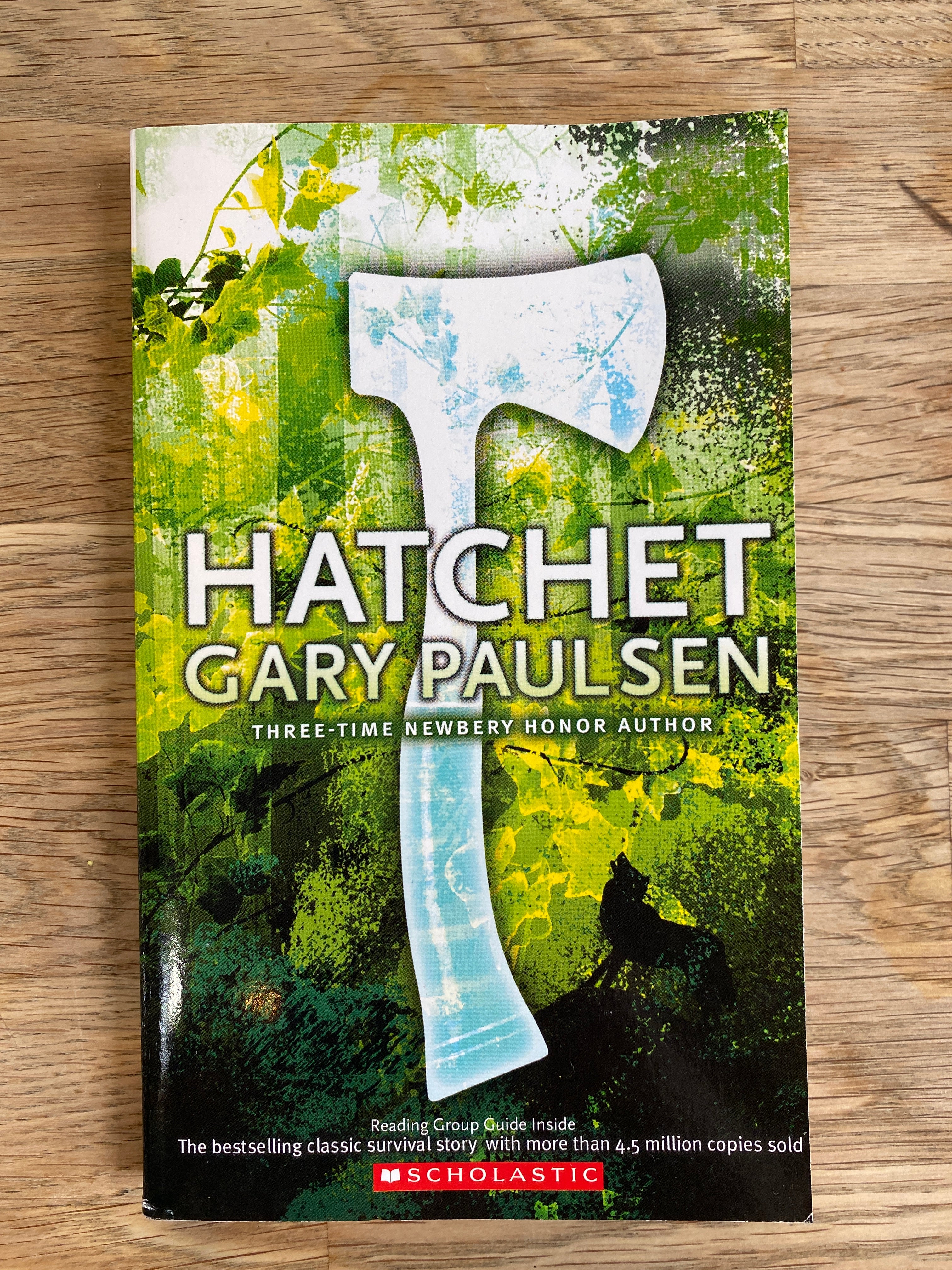 Hatchet by Gary Paulsen