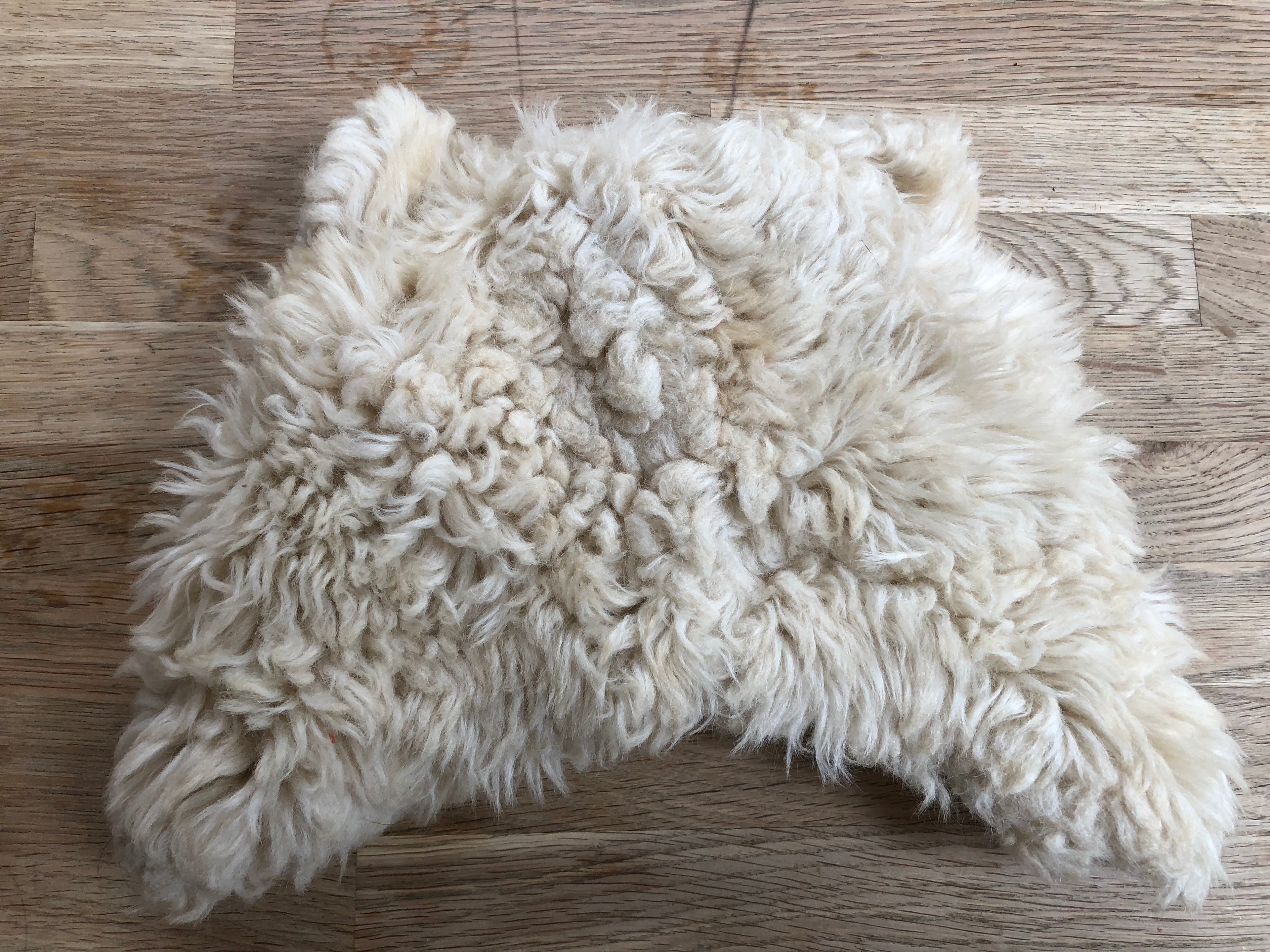 Fuzzy Bear Hat (Pre-Loved) - by Baby Gap - Size S/M Child