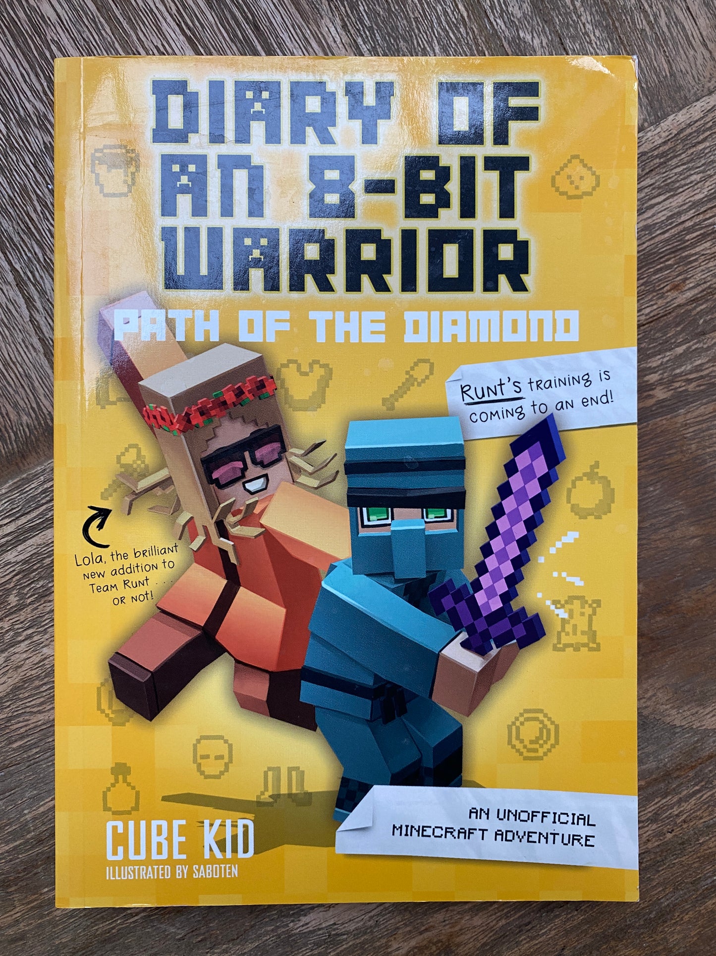 Diary of an 8-Bit Warrior Book 4