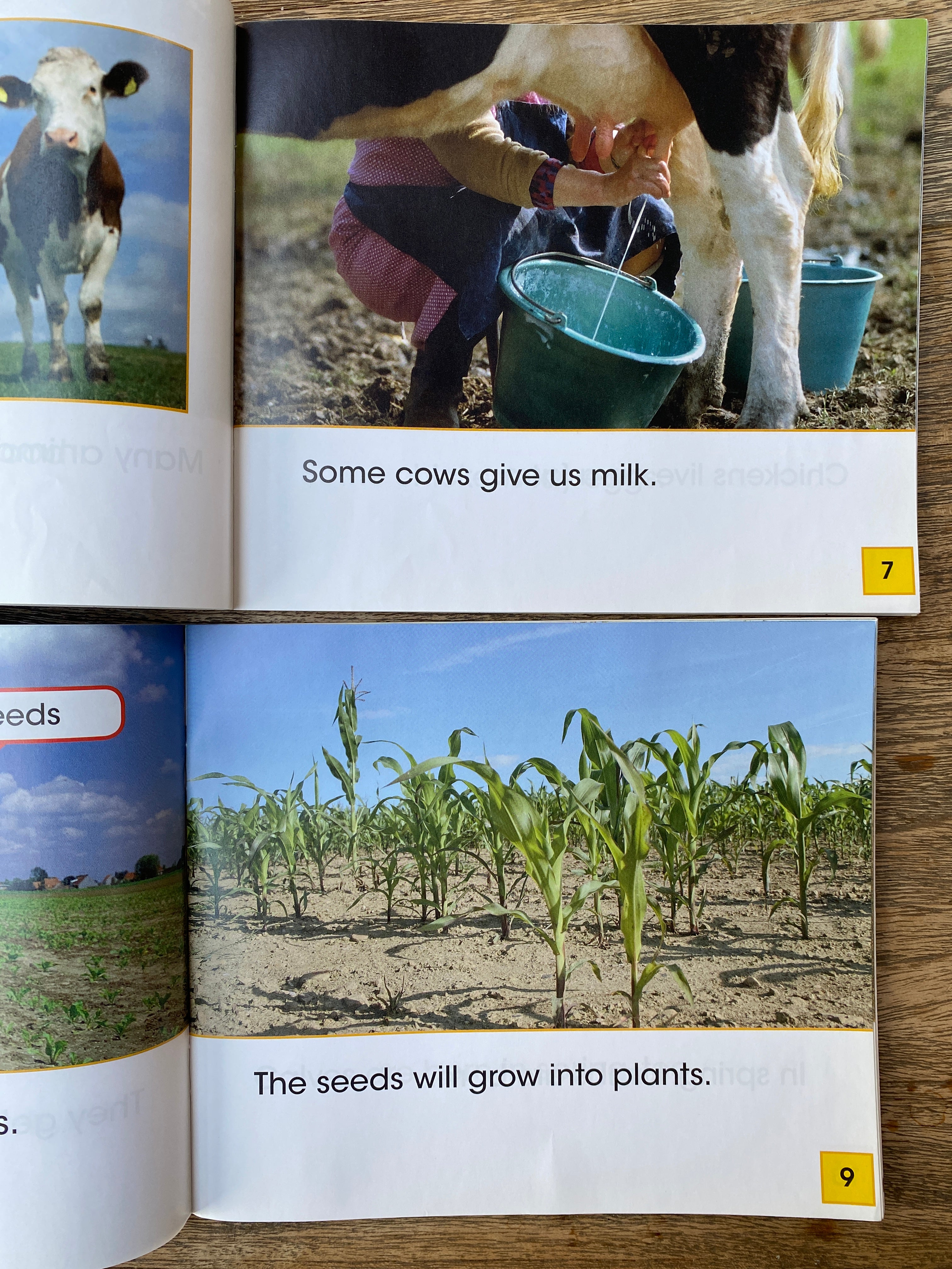 World of Farming - Seasons on a Farm / Farm Animals - Early Reader