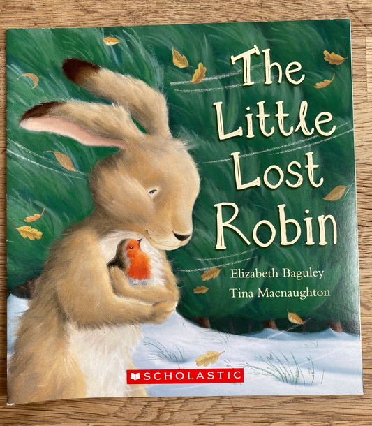 The Little Lost Robin