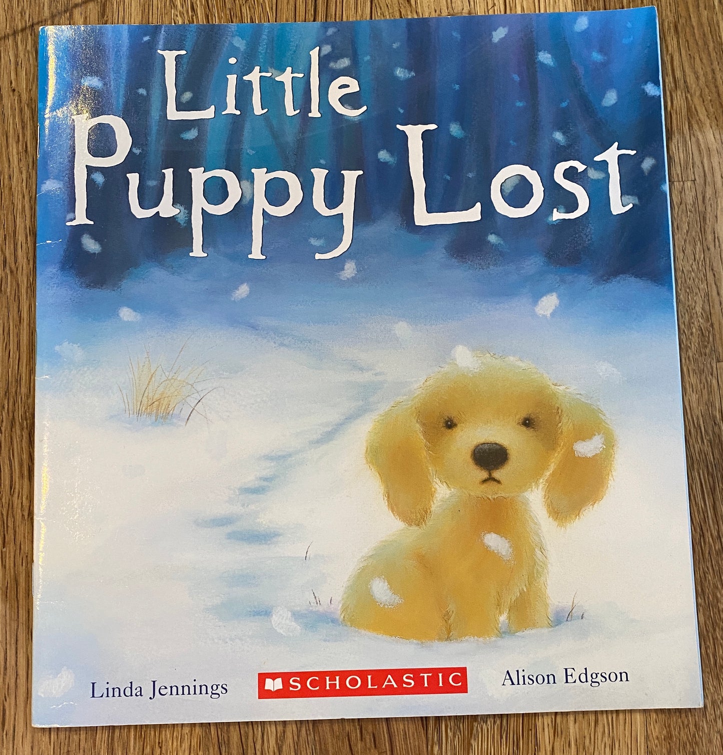 Little Puppy Lost