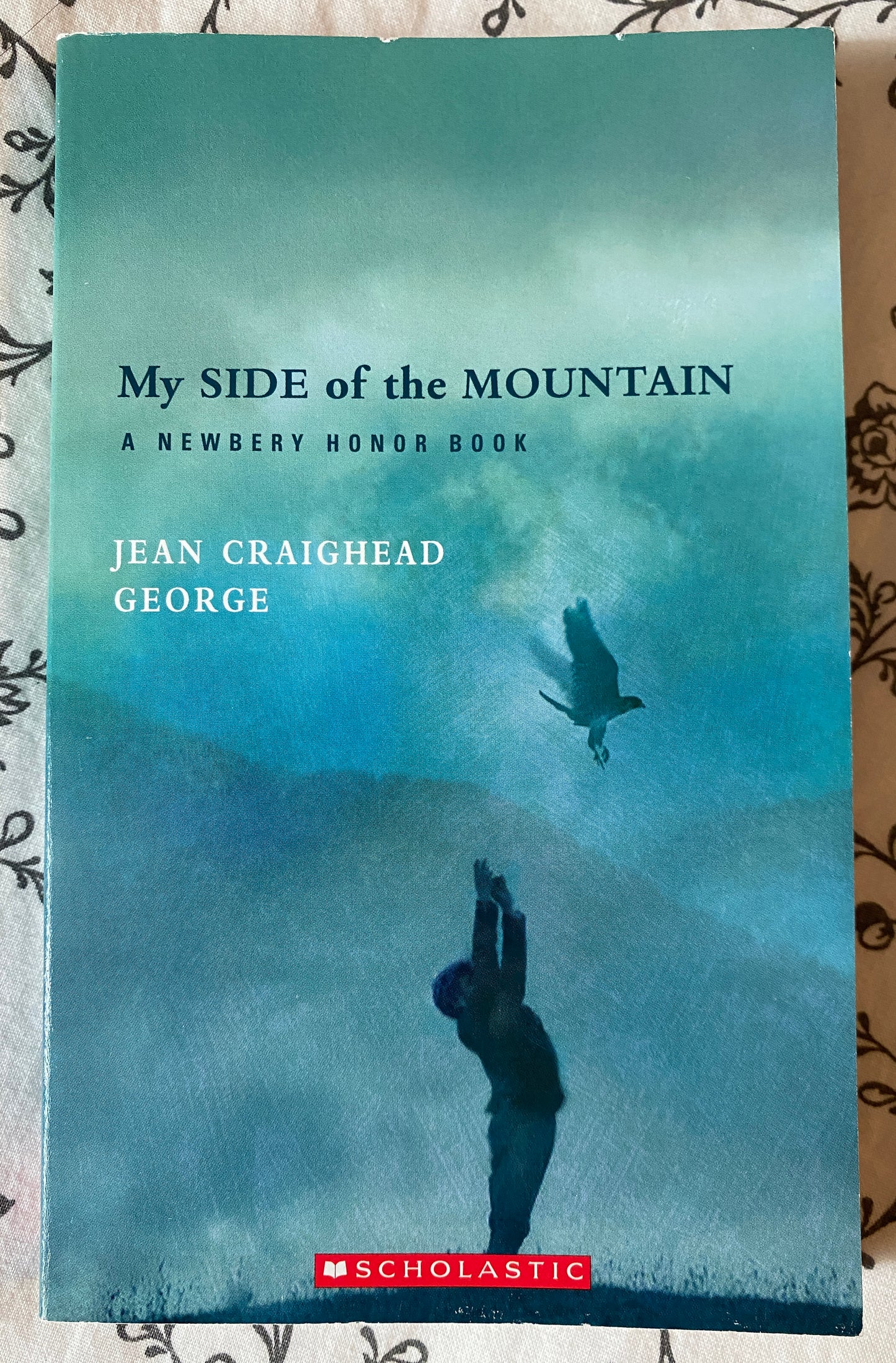 My Side of the Mountain by Jean Craighead George