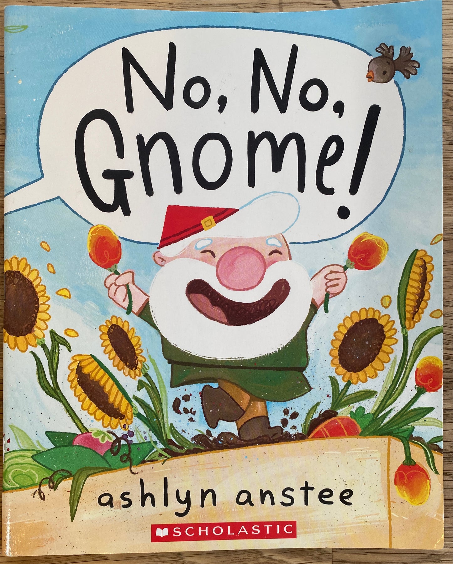 No, No, Gnome! - Ashlyn Anstee