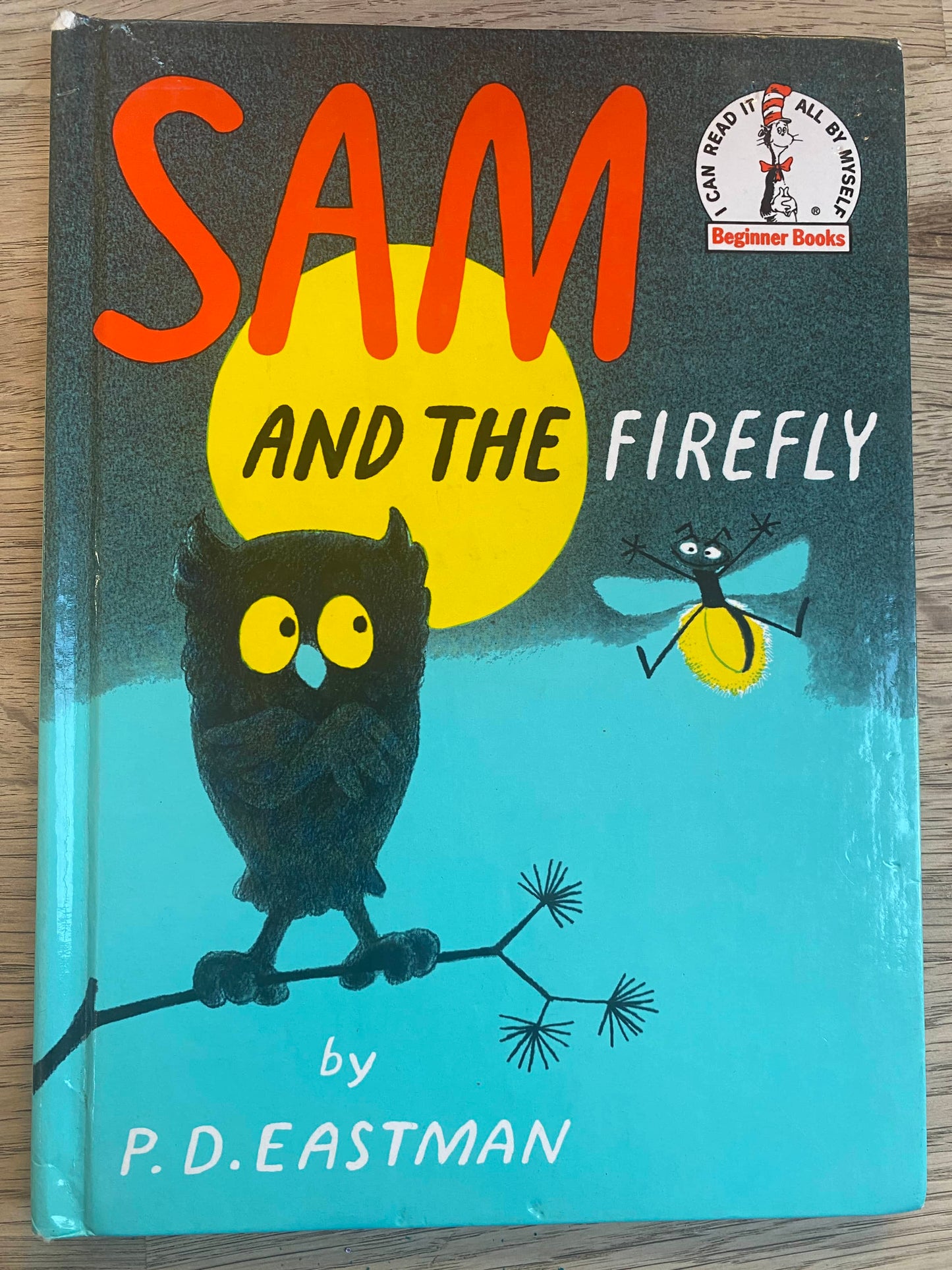 Sam and the Firefly