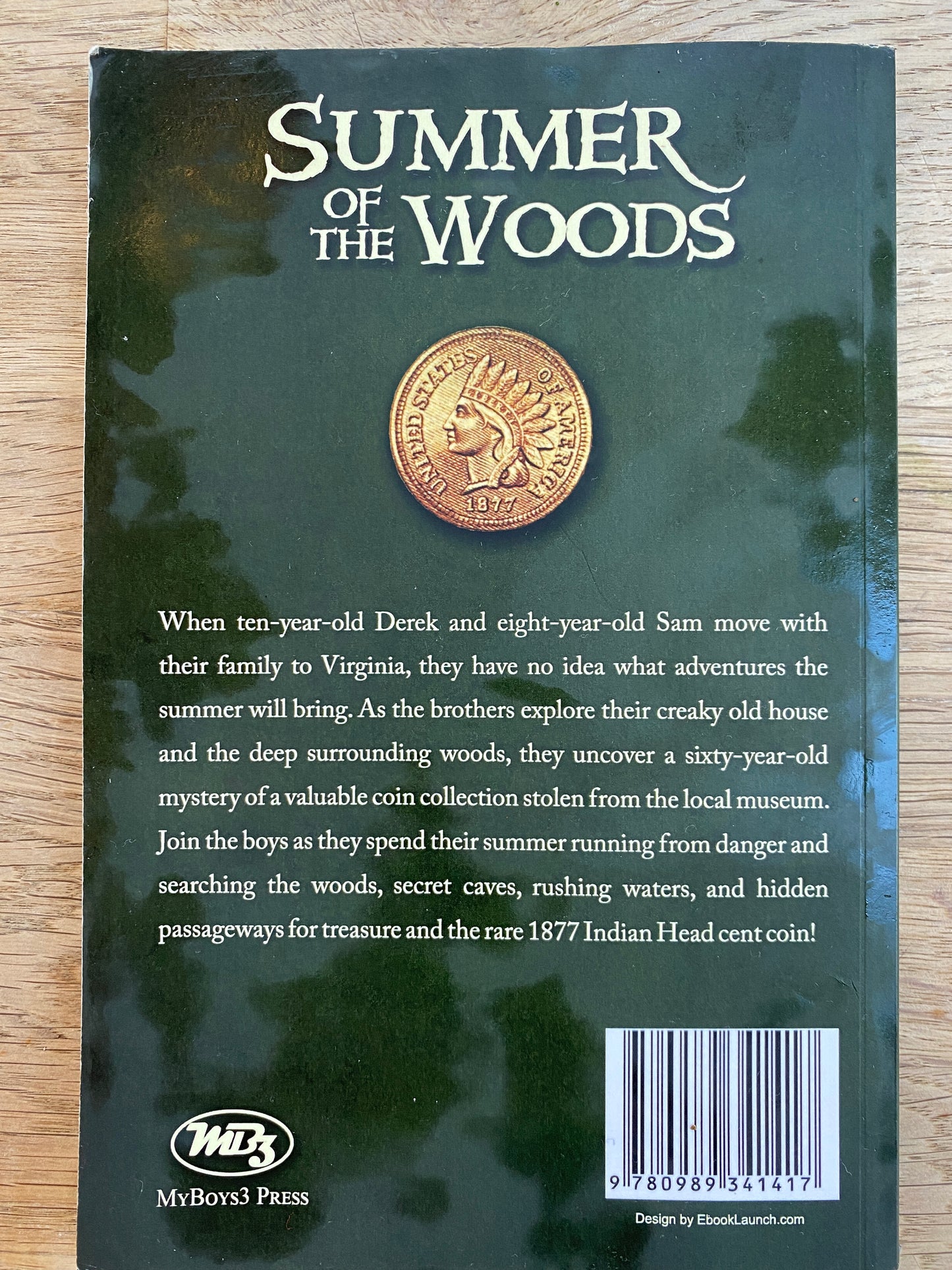 Summer of the Woods - The Virginia Mysteries Book 1 by Steven K. Smith