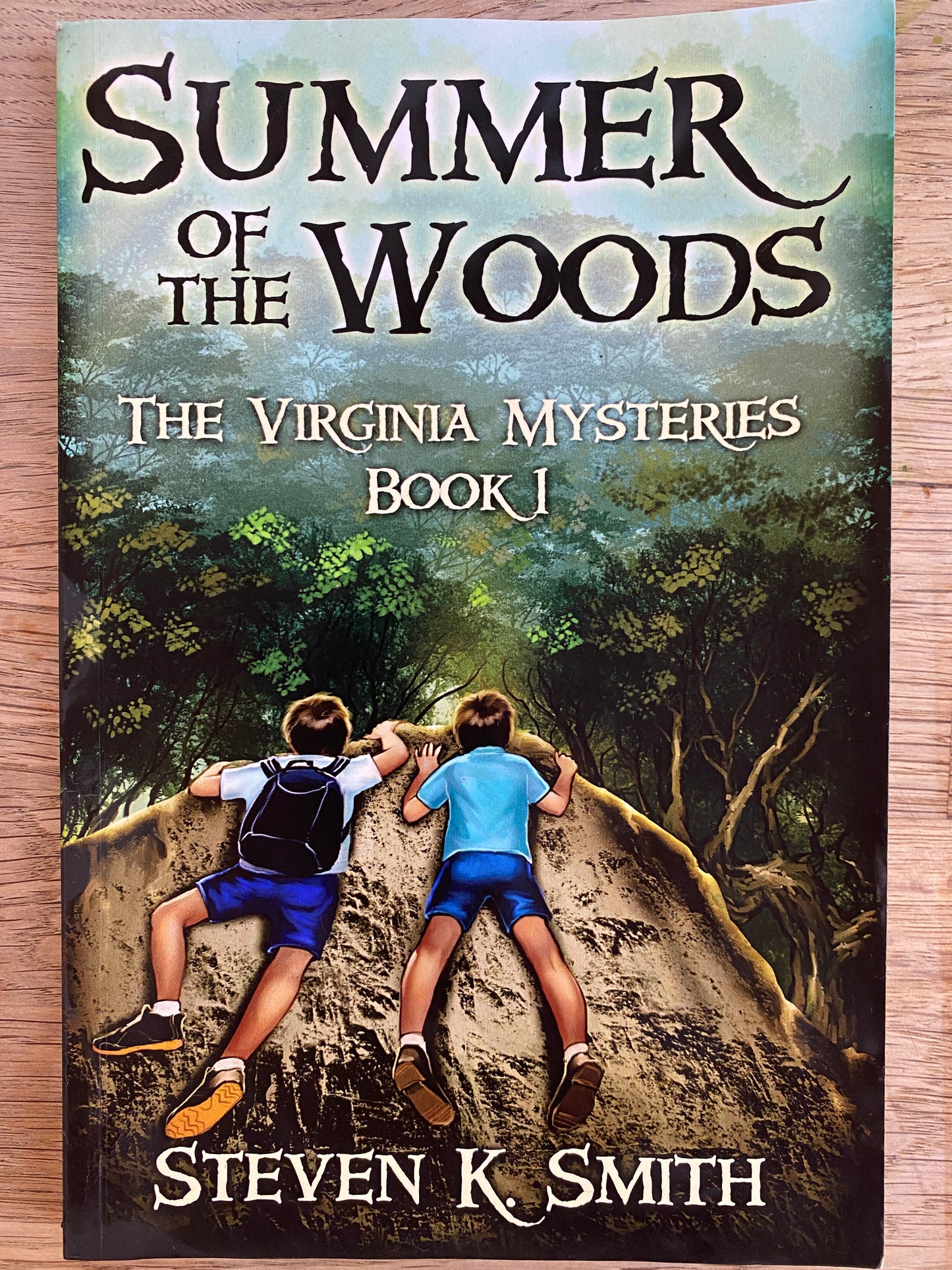 Summer of the Woods - The Virginia Mysteries Book 1 by Steven K. Smith