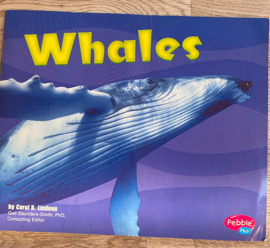 Whales