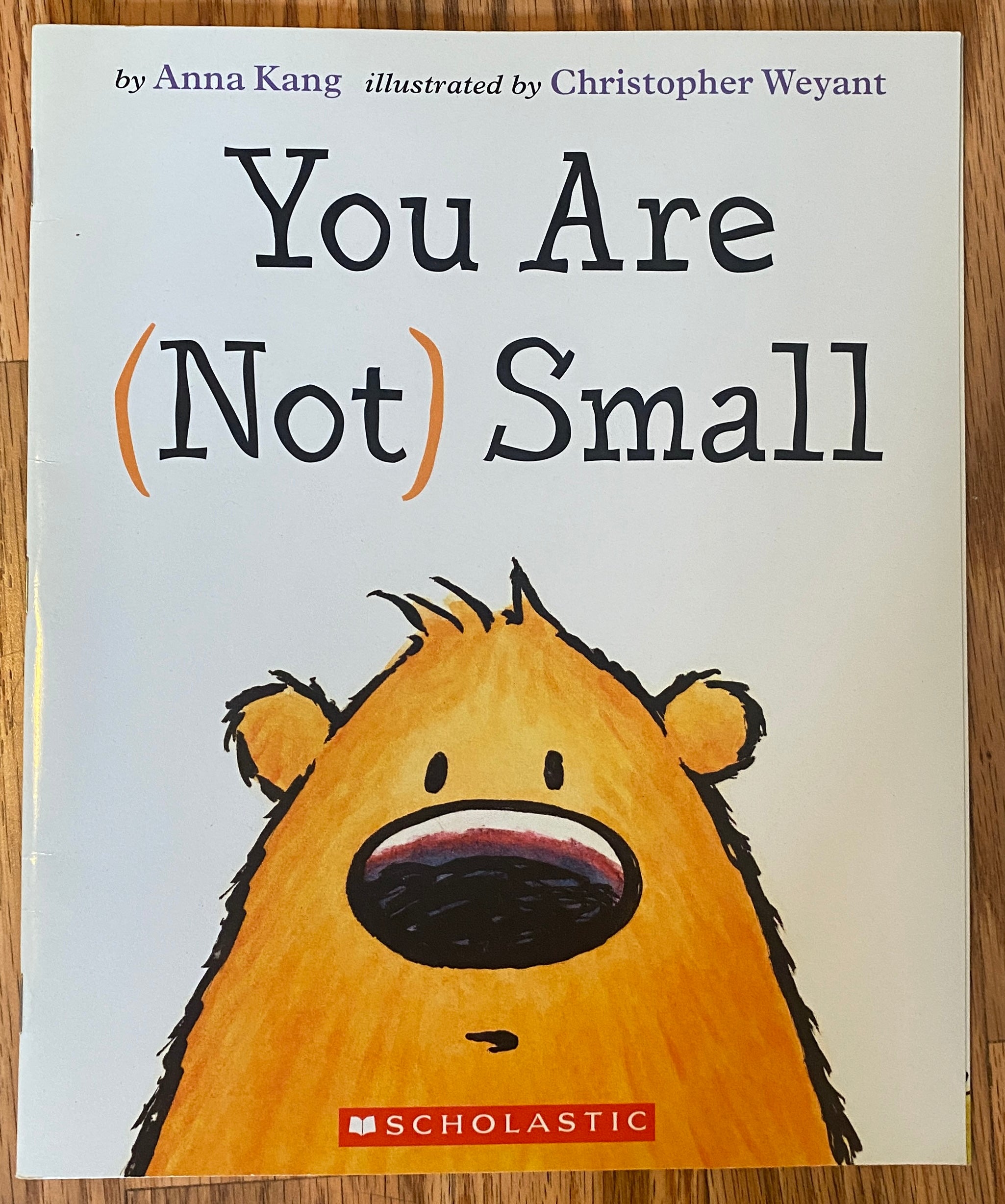 You are (NOT) Small