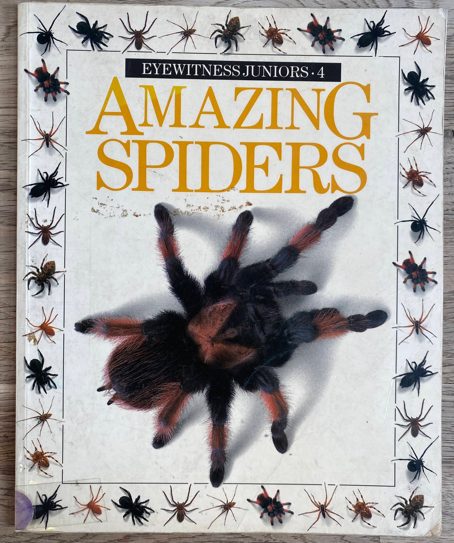 Amazing Spiders - Eyewitness Juniors: 4