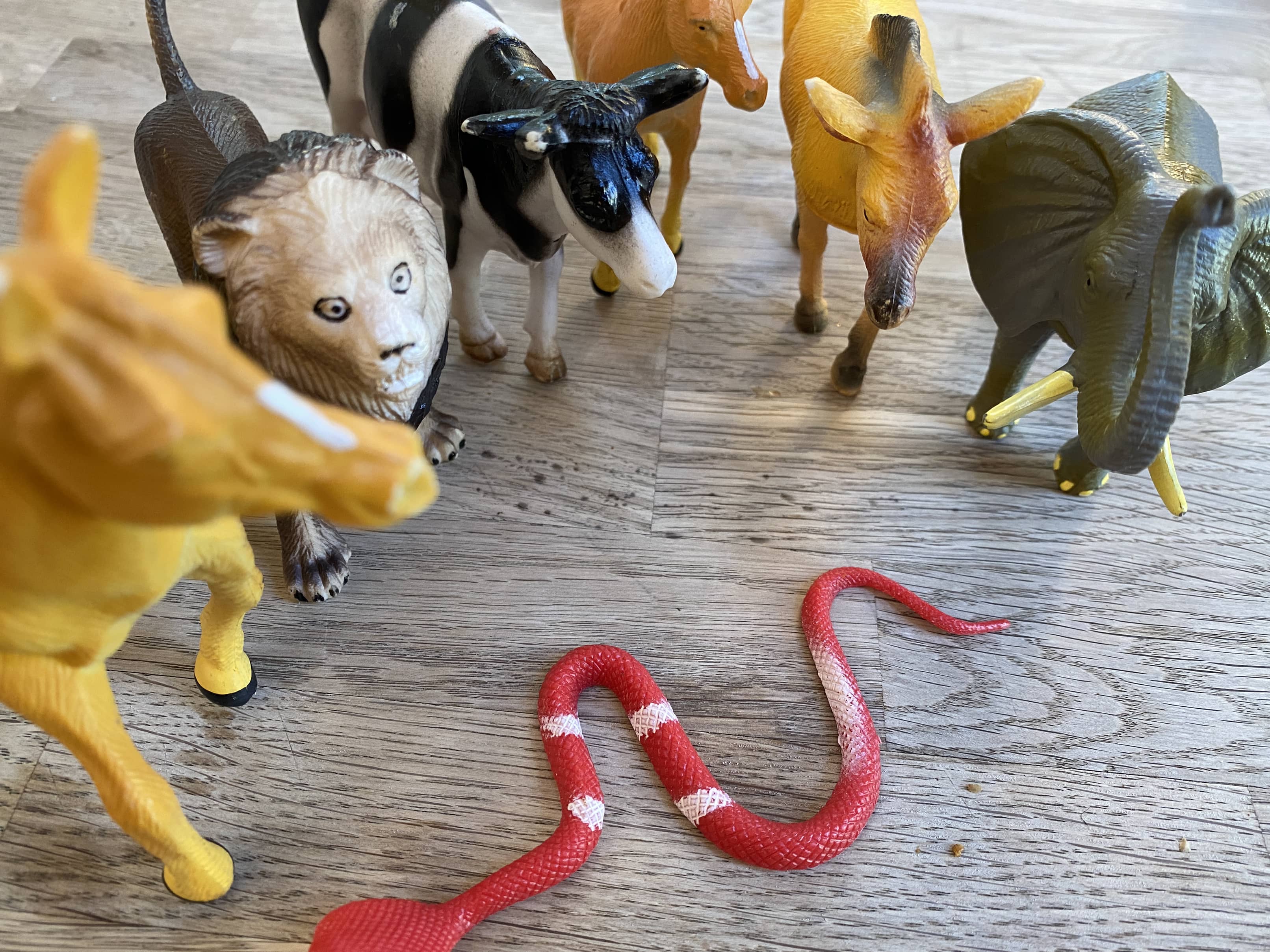 Plastic Animal Collection (Pre-Loved)