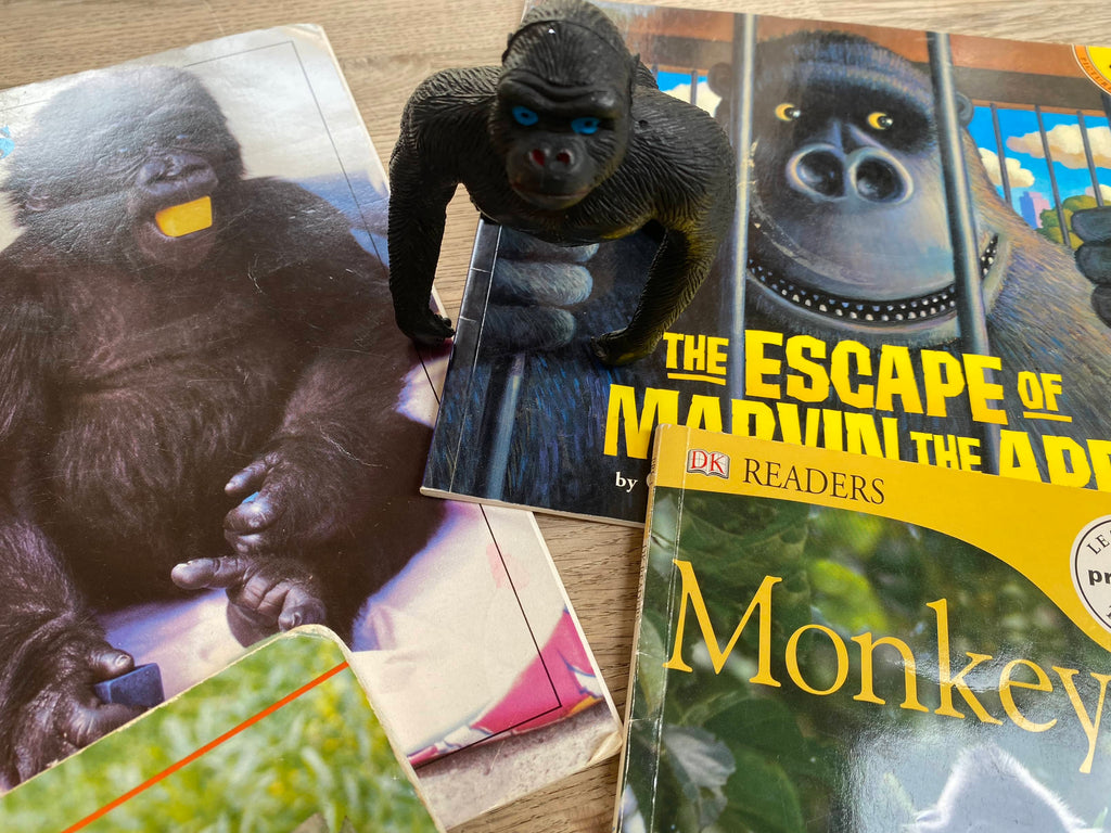 Primates Pack - Monkeys, Apes (Pre-Loved) 4 books included