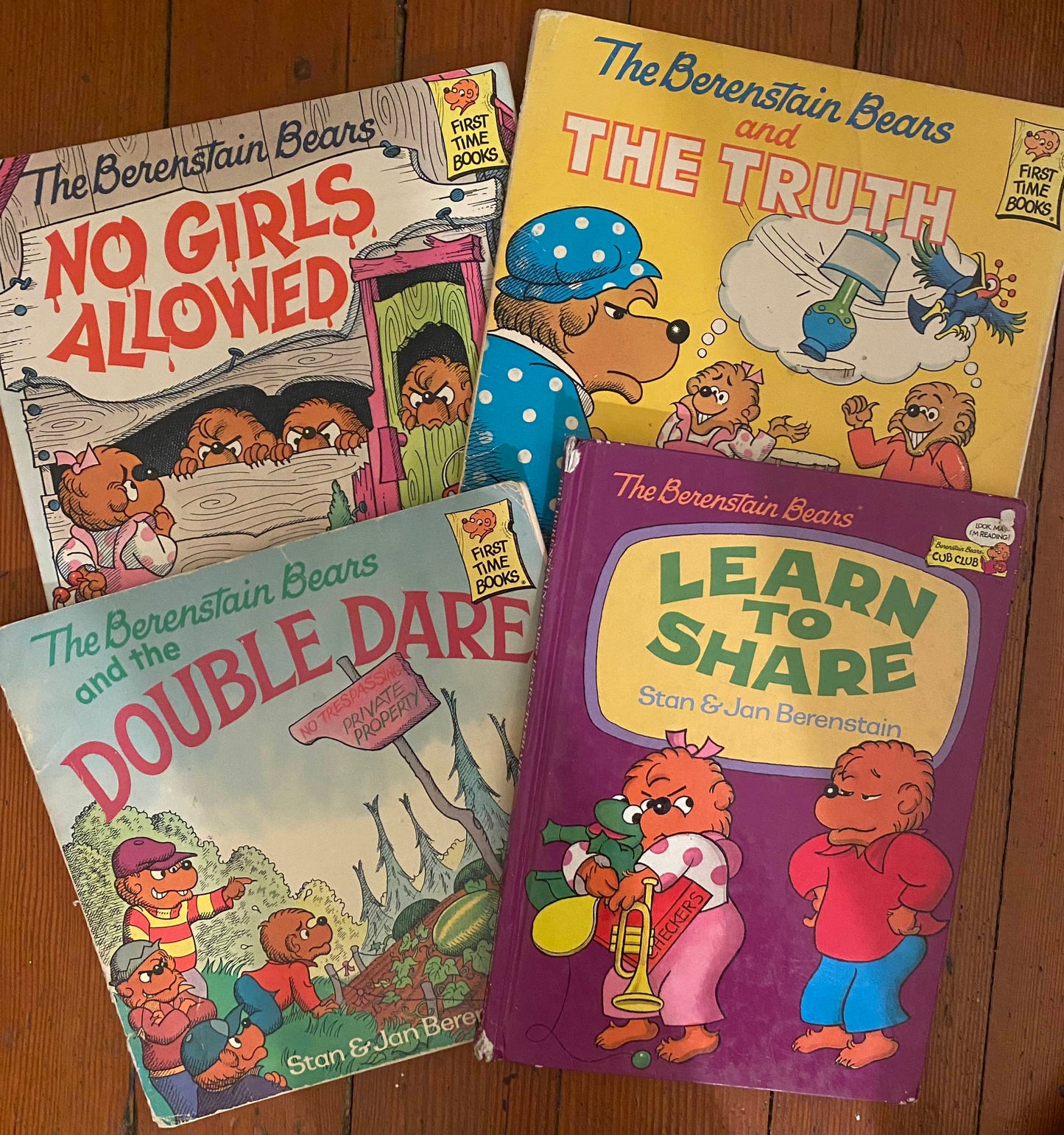 Berenstein Bears Book Bundle - 4 books included