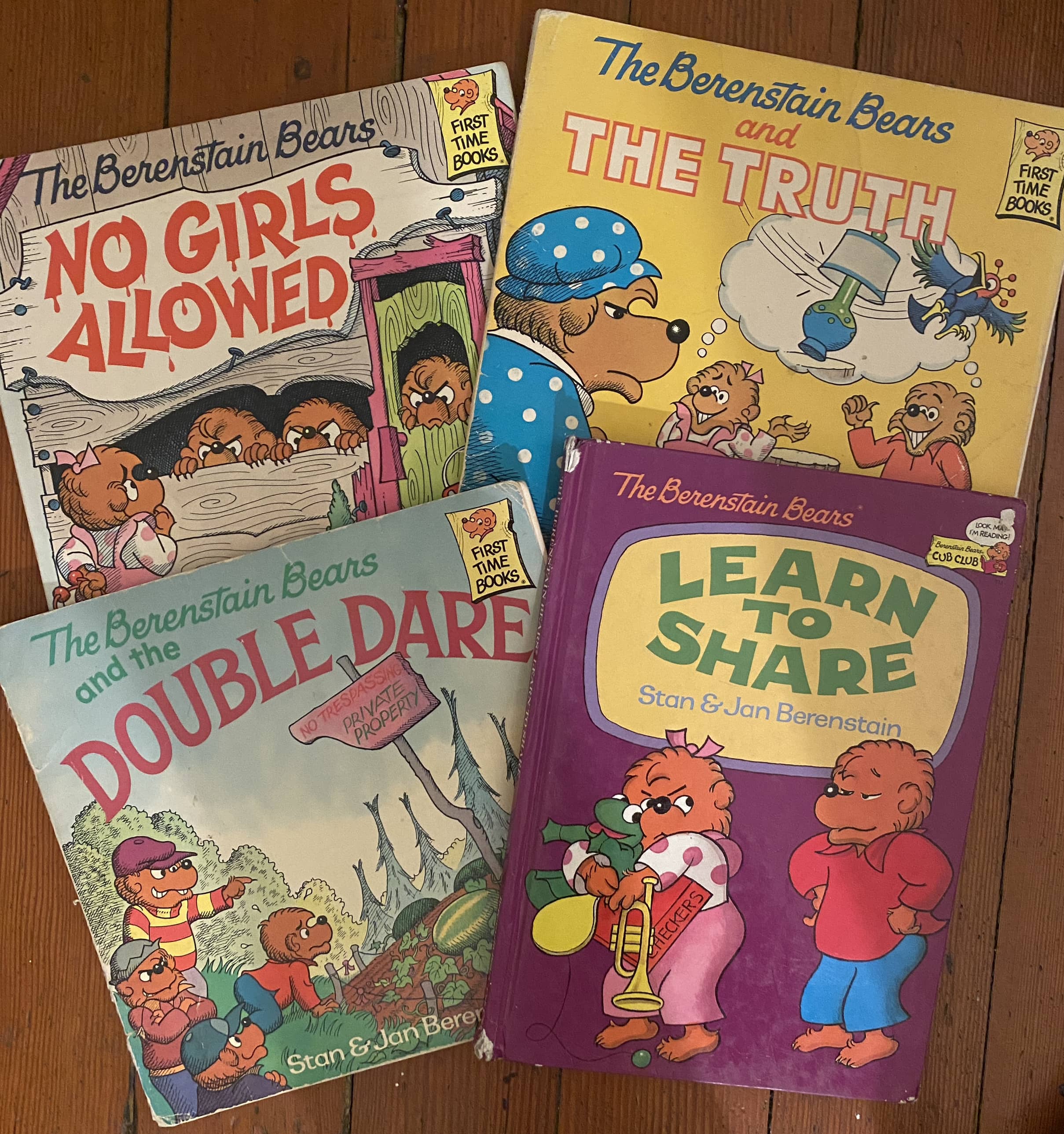 Berenstein Bears Book Bundle - 4 books included