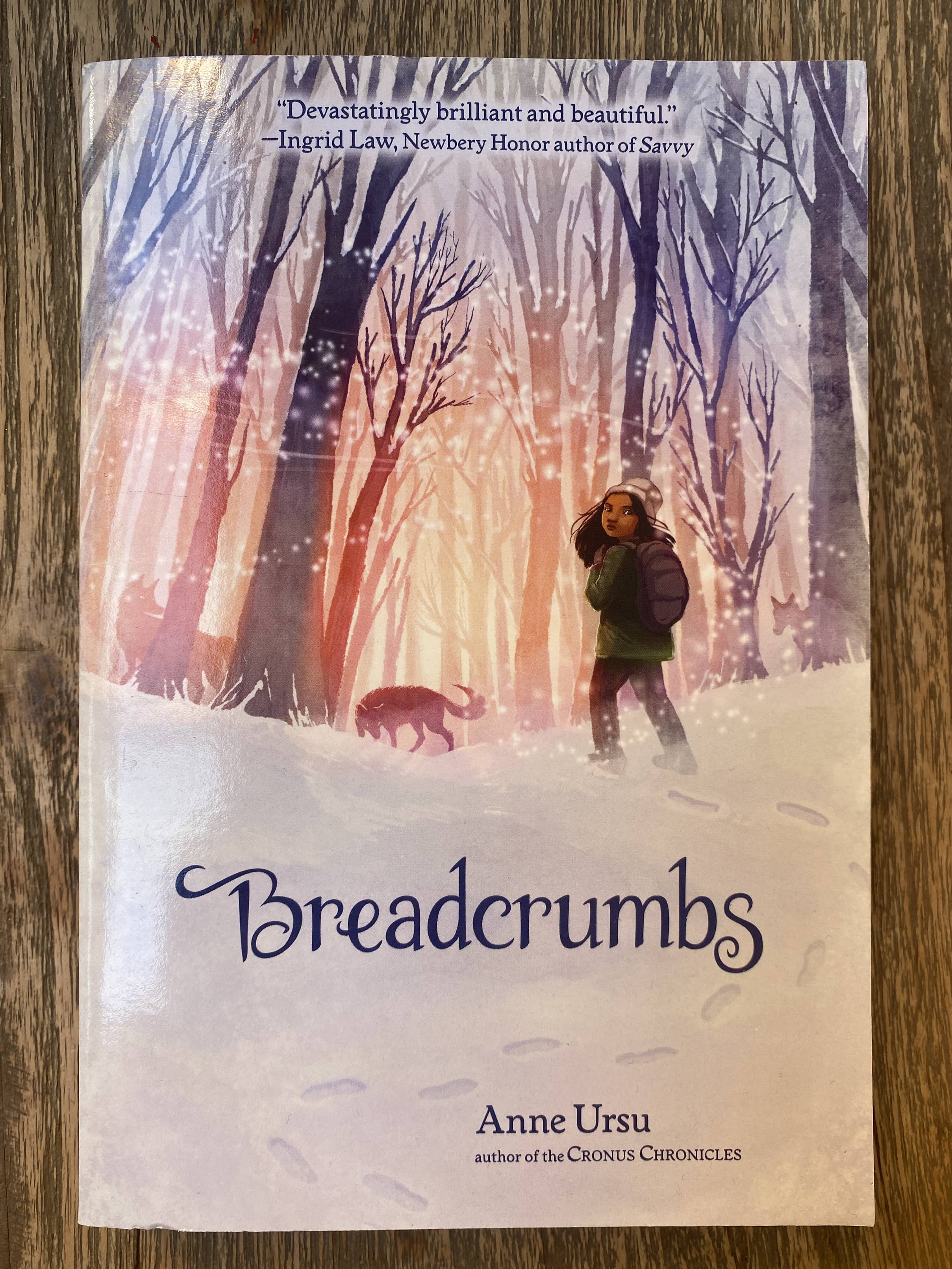Breadcrumbs - Anne Ursu