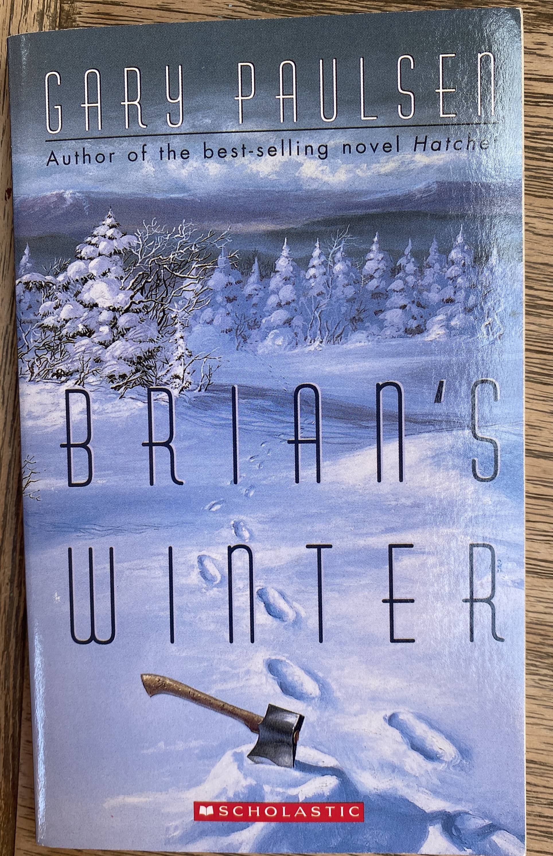 Brian's Winter