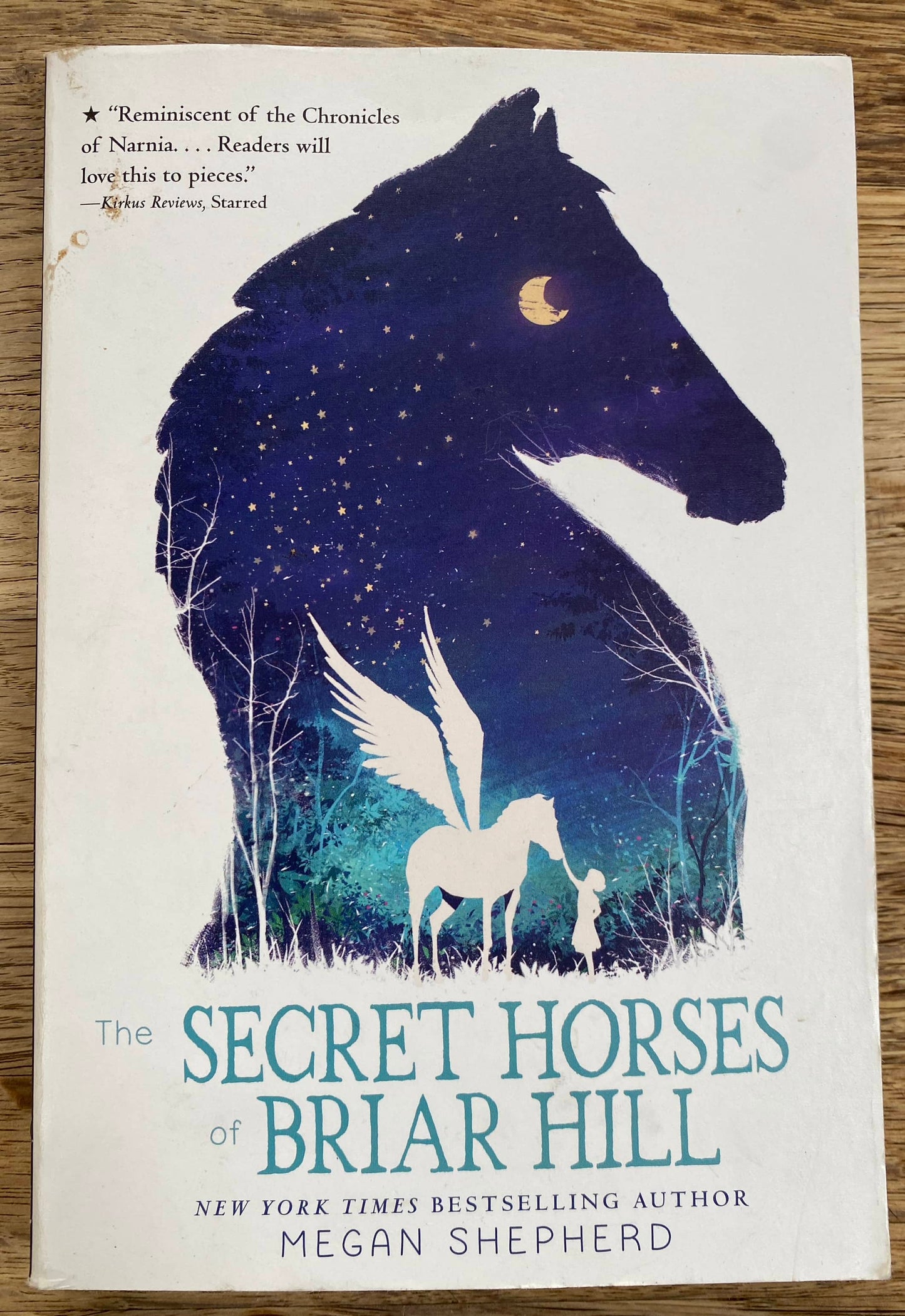 The Secret Horses of Briar Hill