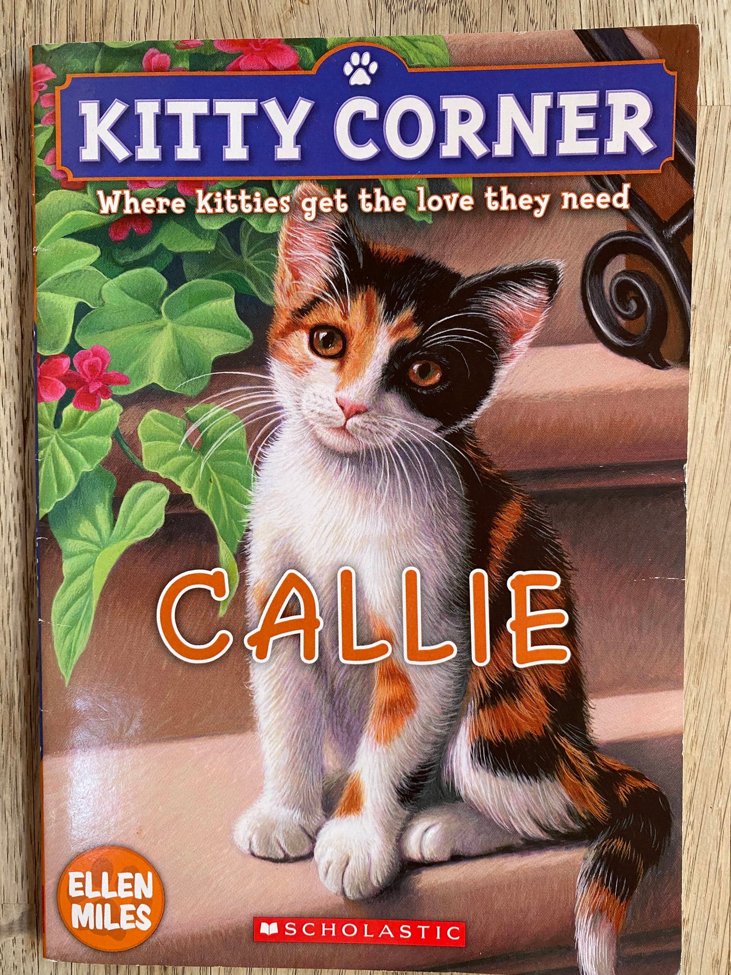 Kitty Corner - Callie