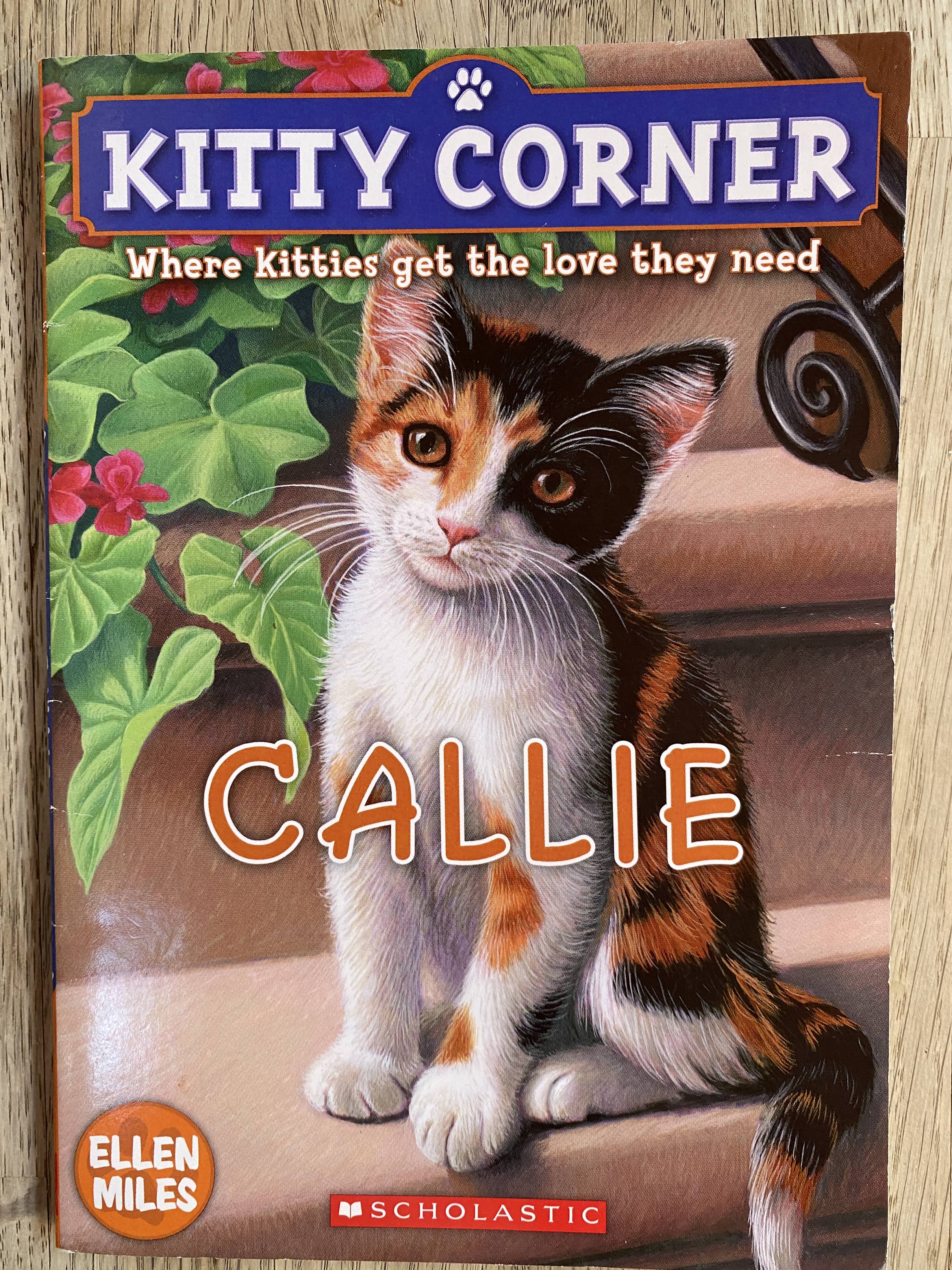Kitty Corner - Callie