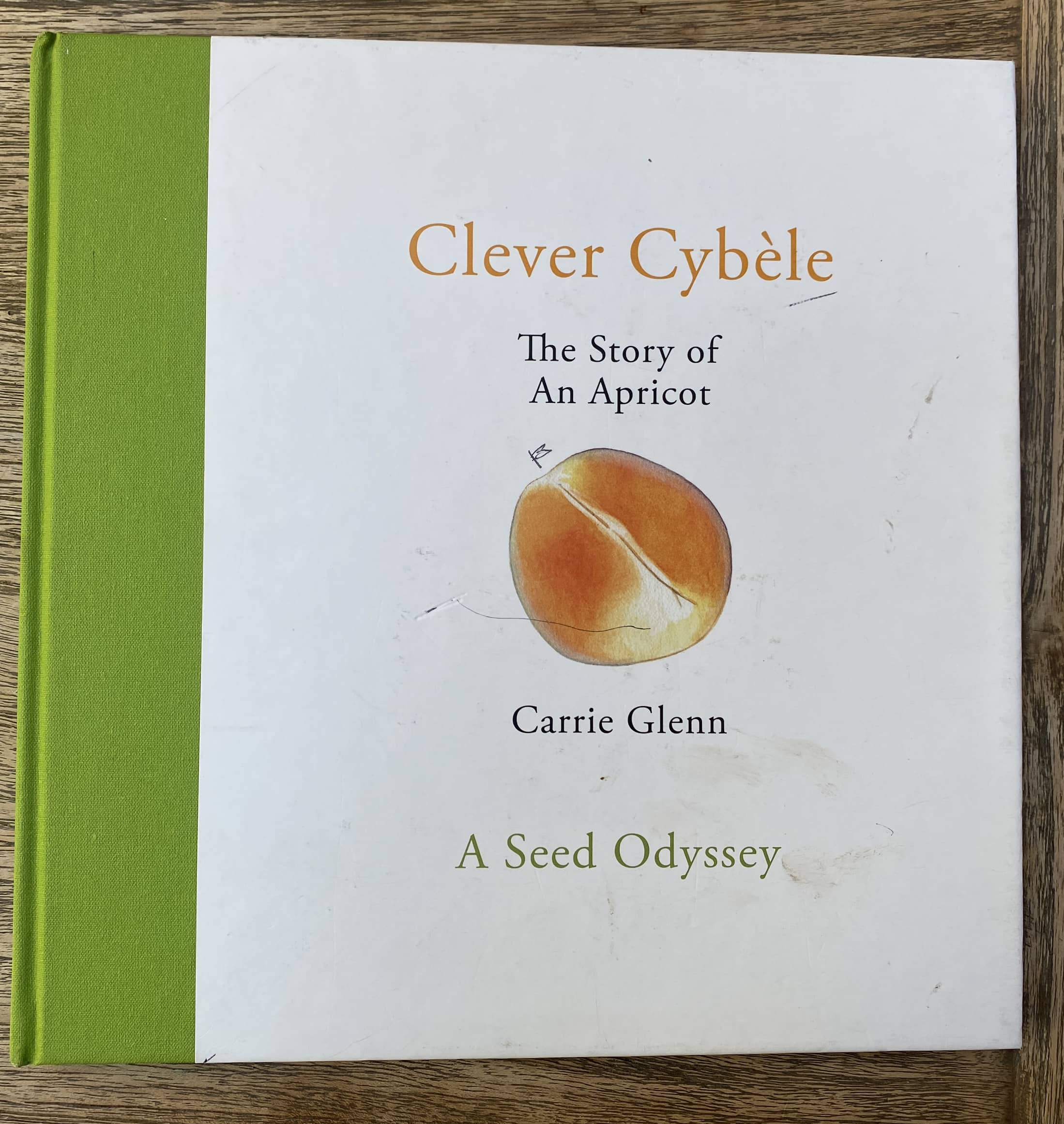 Clever Cybele - The Story of An Apricot - A Seed Odyssey