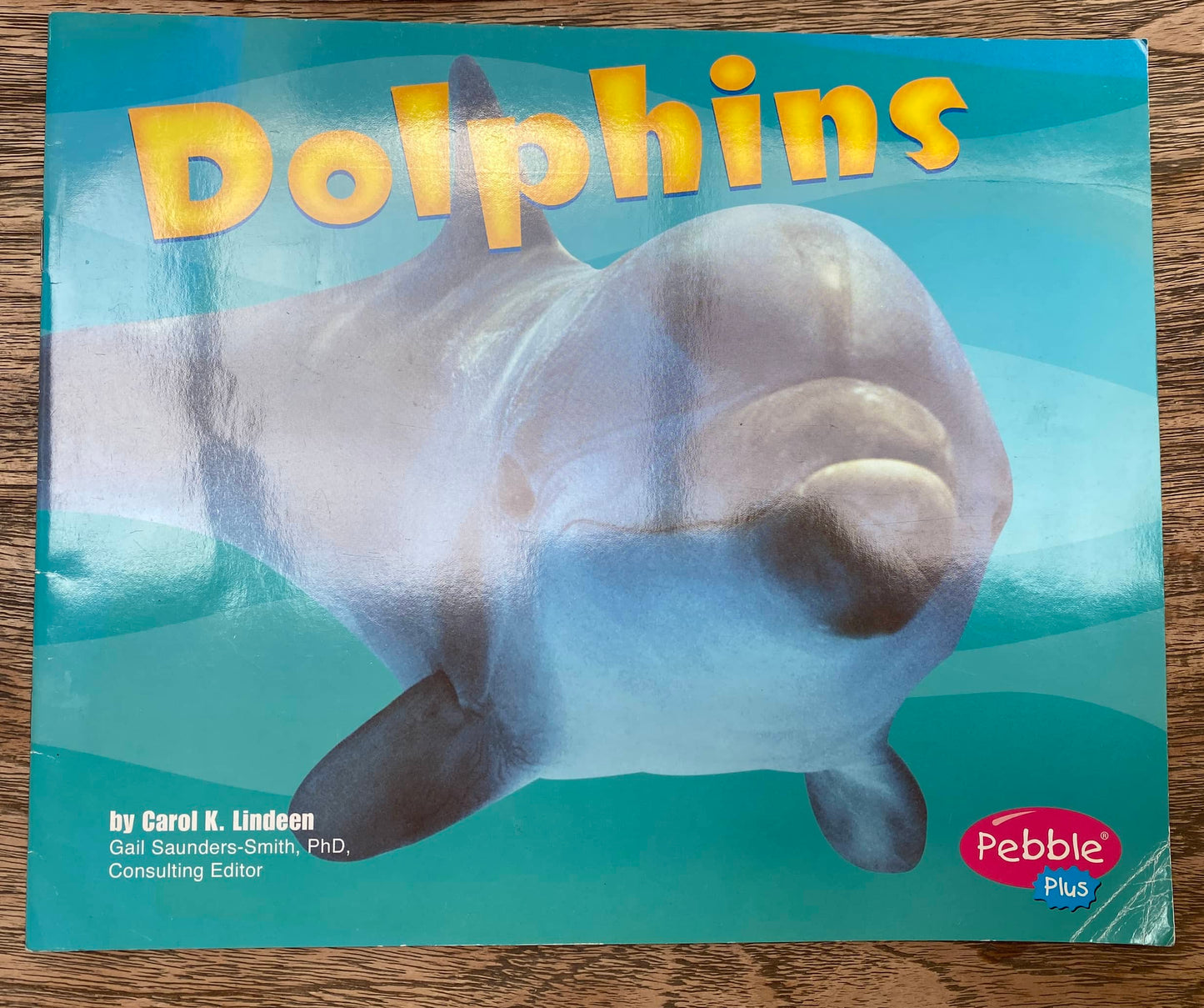 Dolphins - Pebble Plus