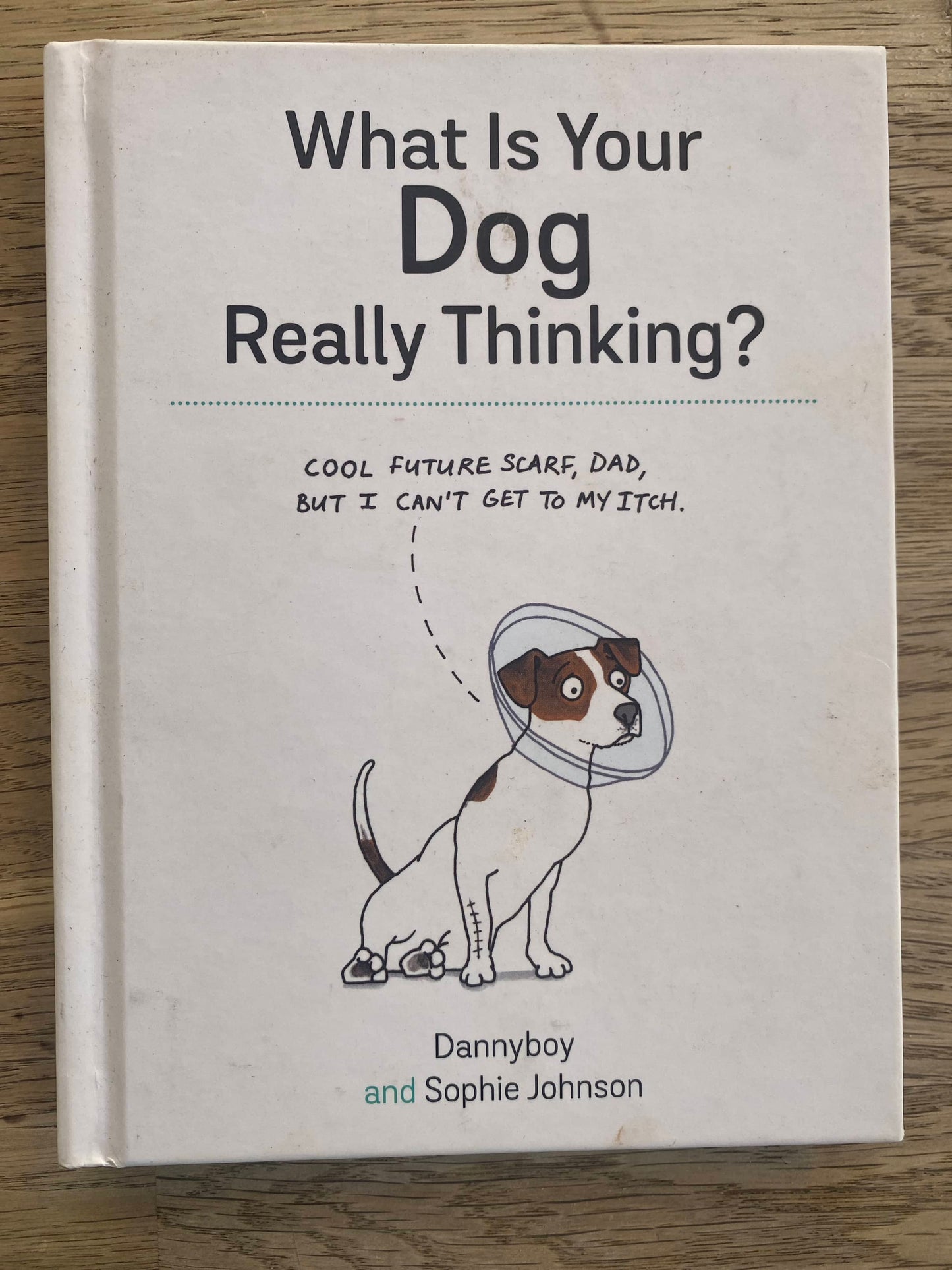 What is Your Dog Really Thinking?