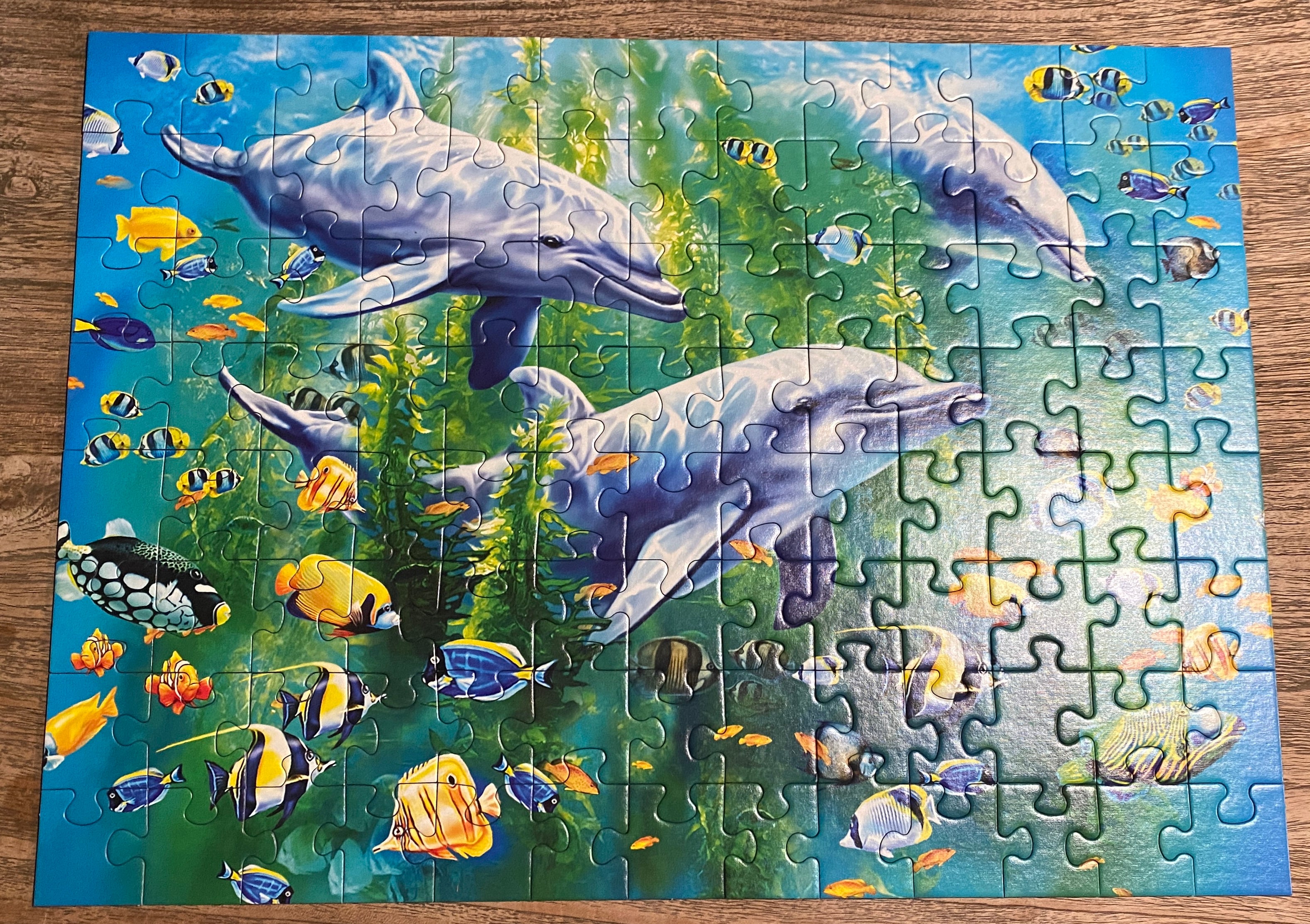Ravensburger Puzzle Dolphins - 100 XXL Pieces