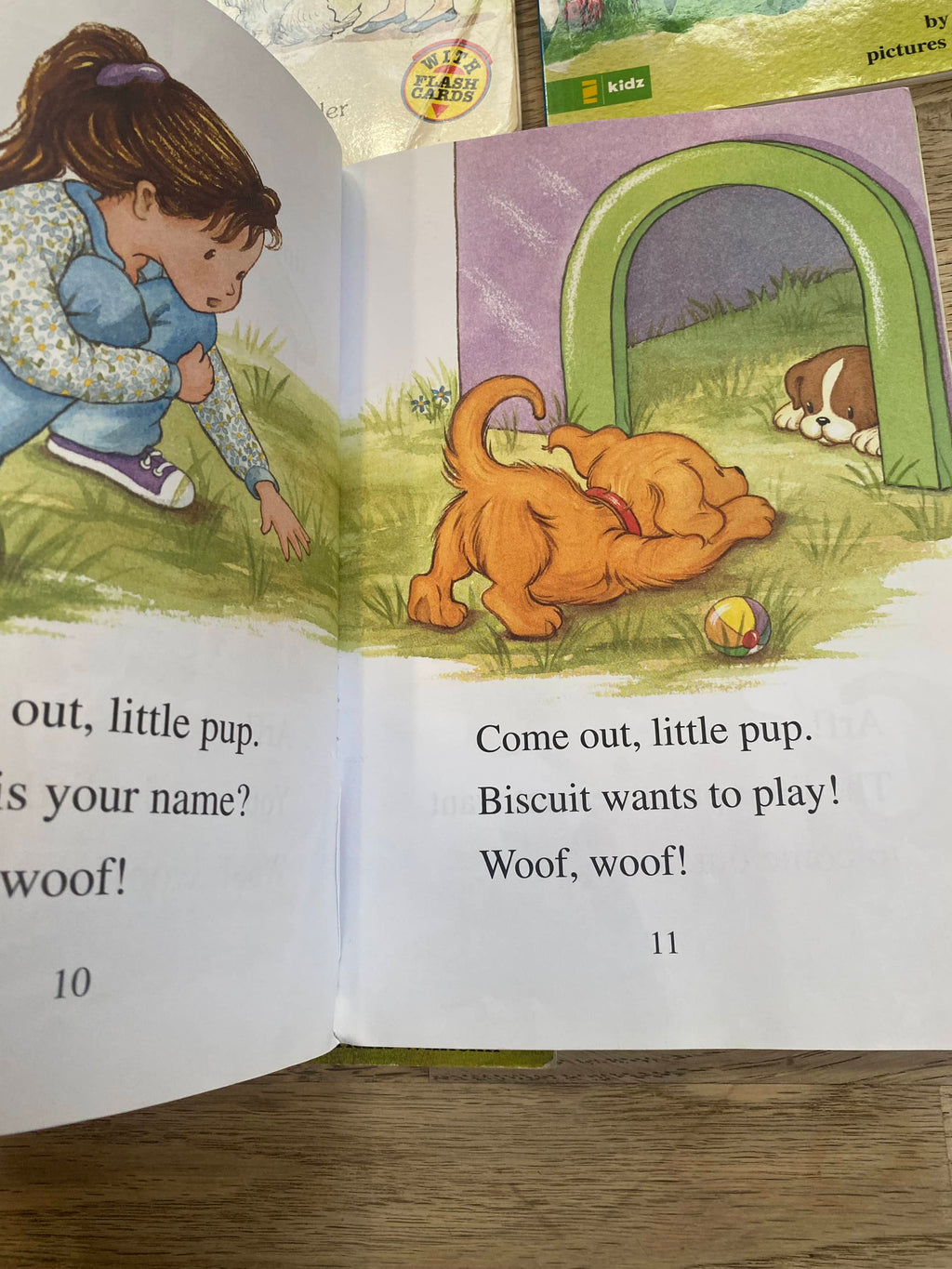 Leveled Readers Bundle - Step Into Reading Book Pack (Pre-Loved) 5 books included