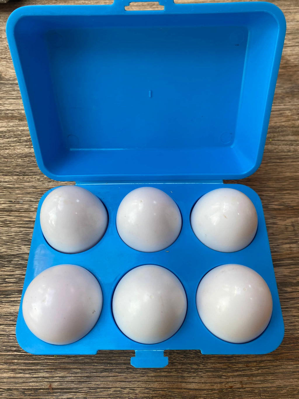 Small World Toys Balls, Egg And Shape Sorter (Pre-Loved)
