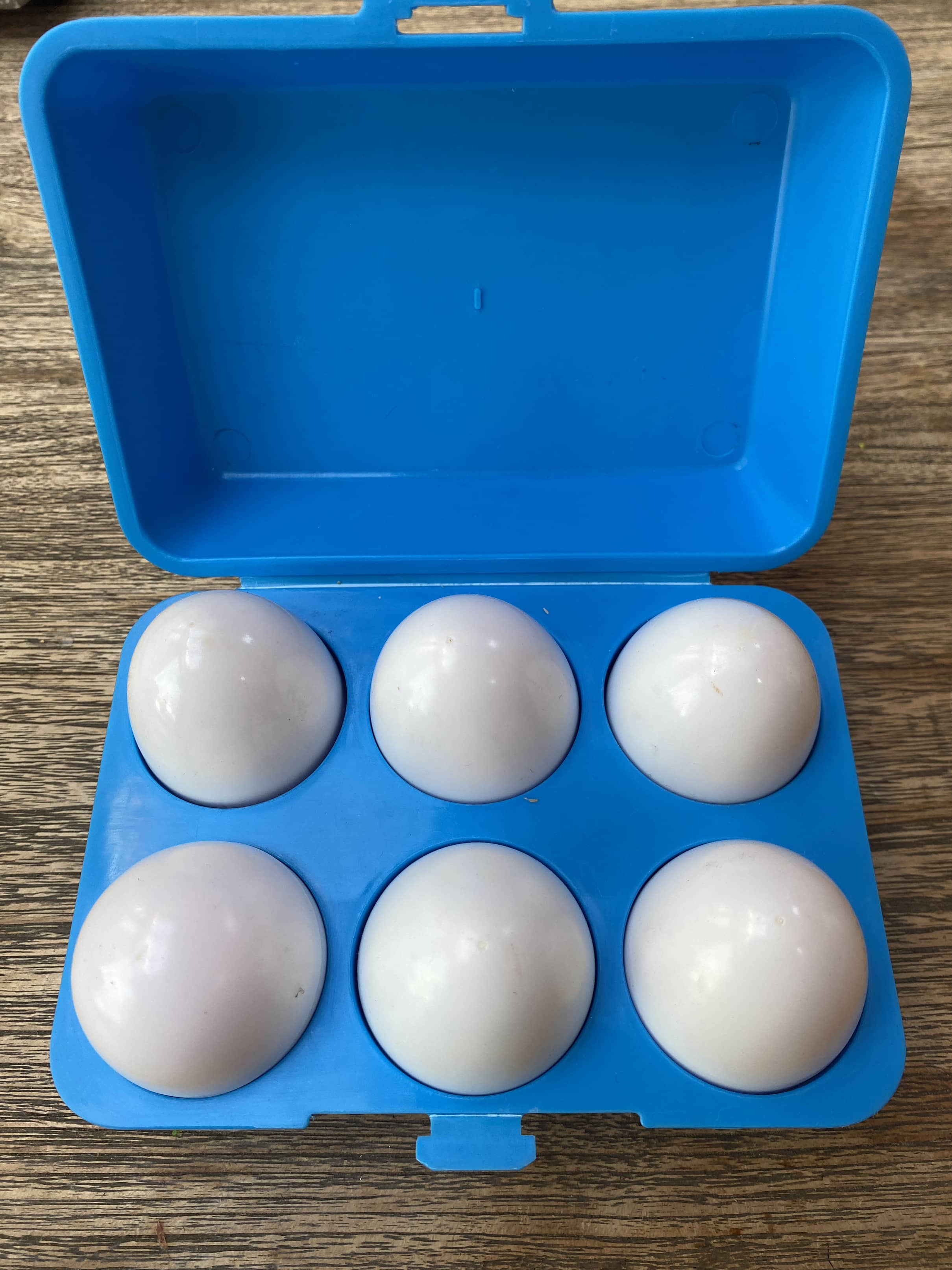 Small World Toys Balls, Egg And Shape Sorter (Pre-Loved)