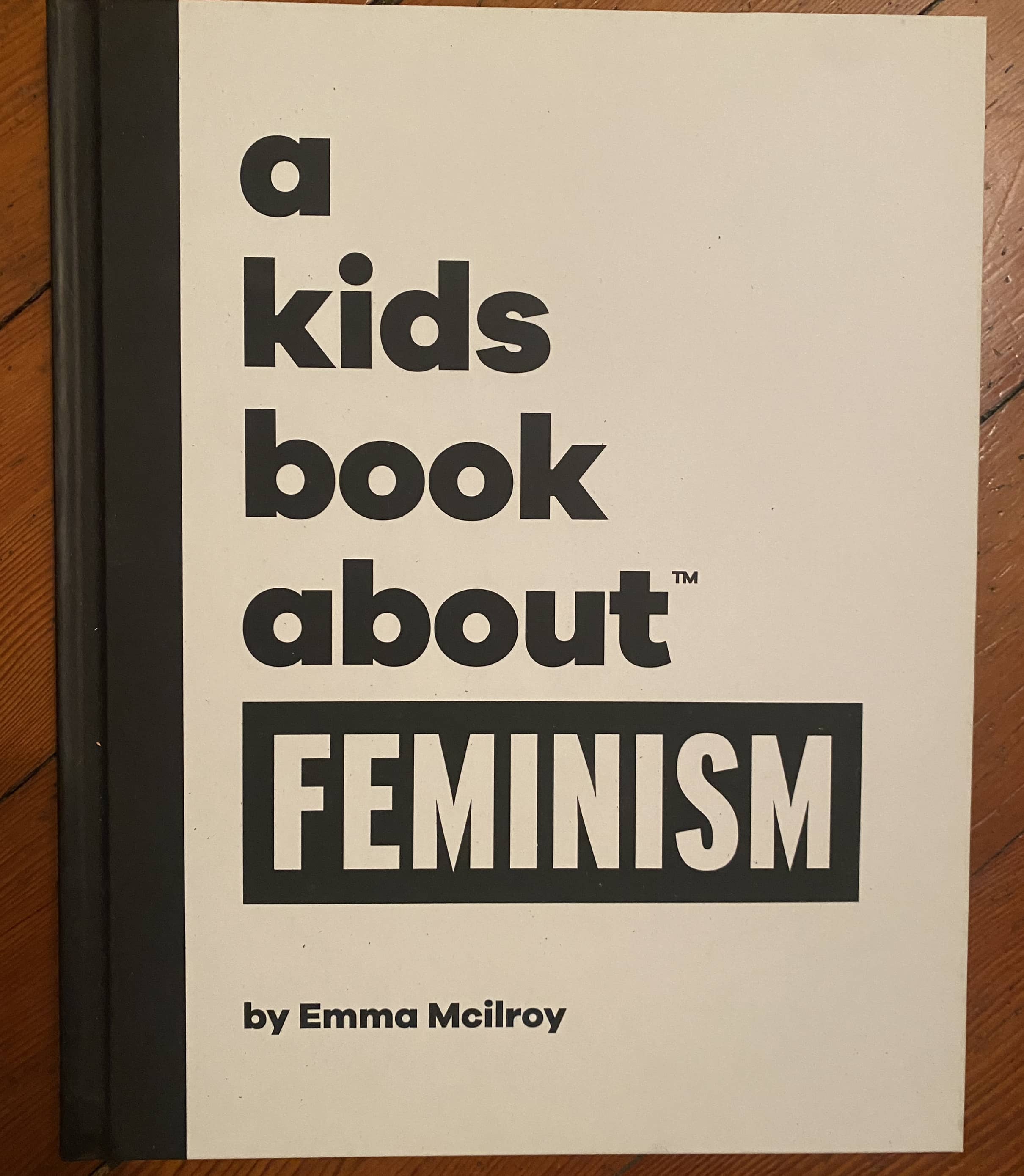 a kids book about FEMINISM + pin