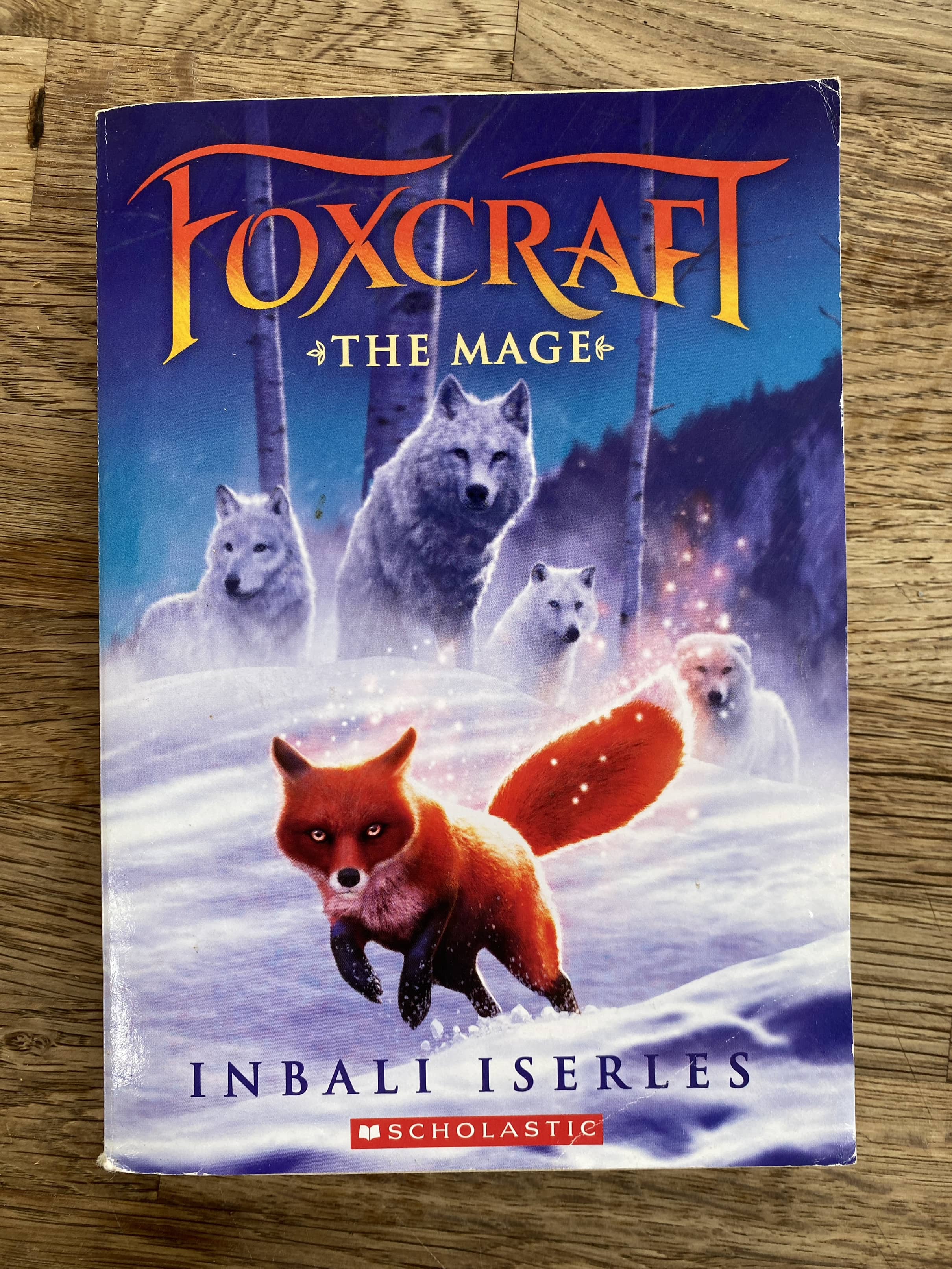 Foxcraft - The Mage - Book 3