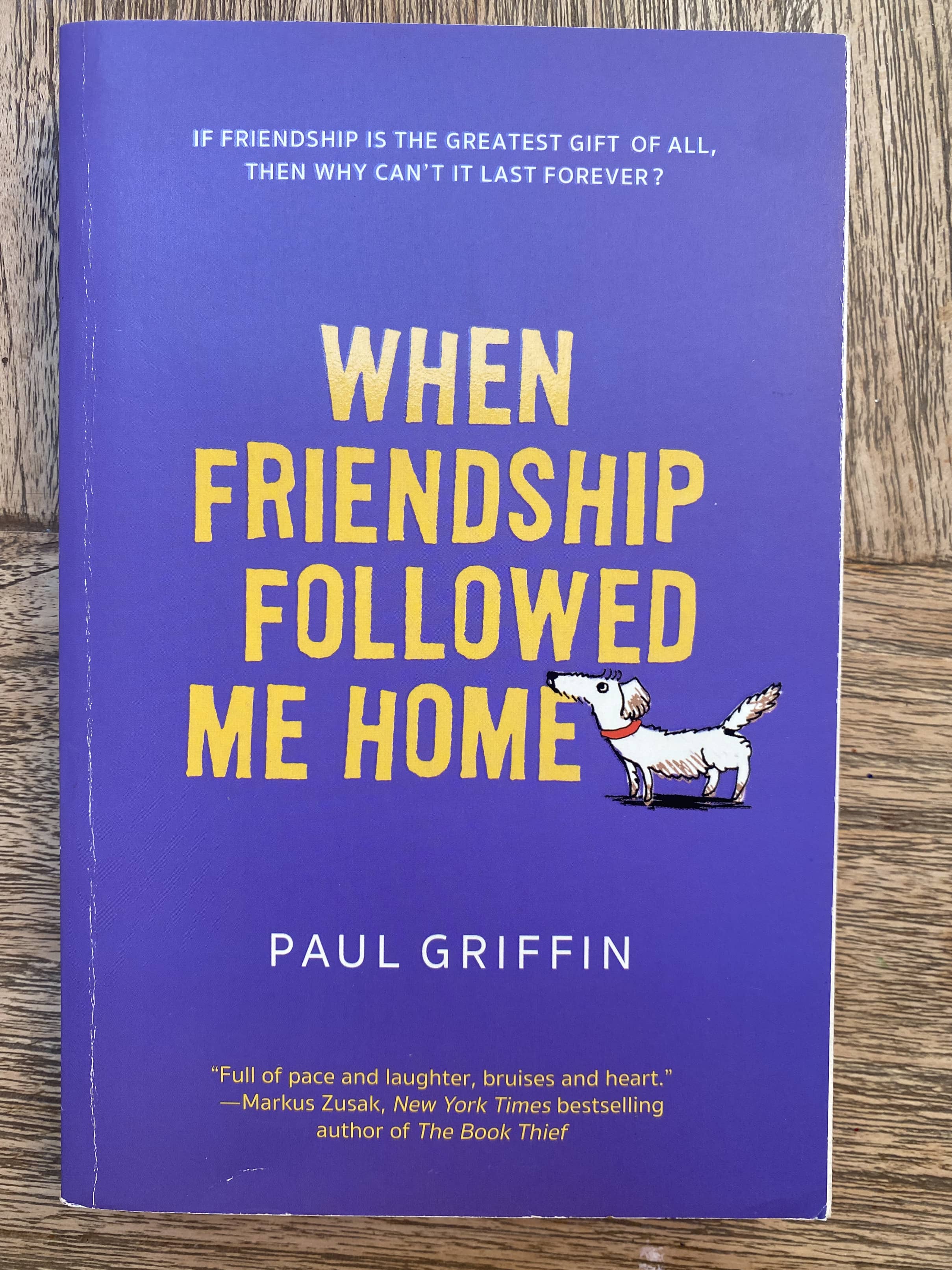 When Friendship Followed Me Home - Paul Griffin