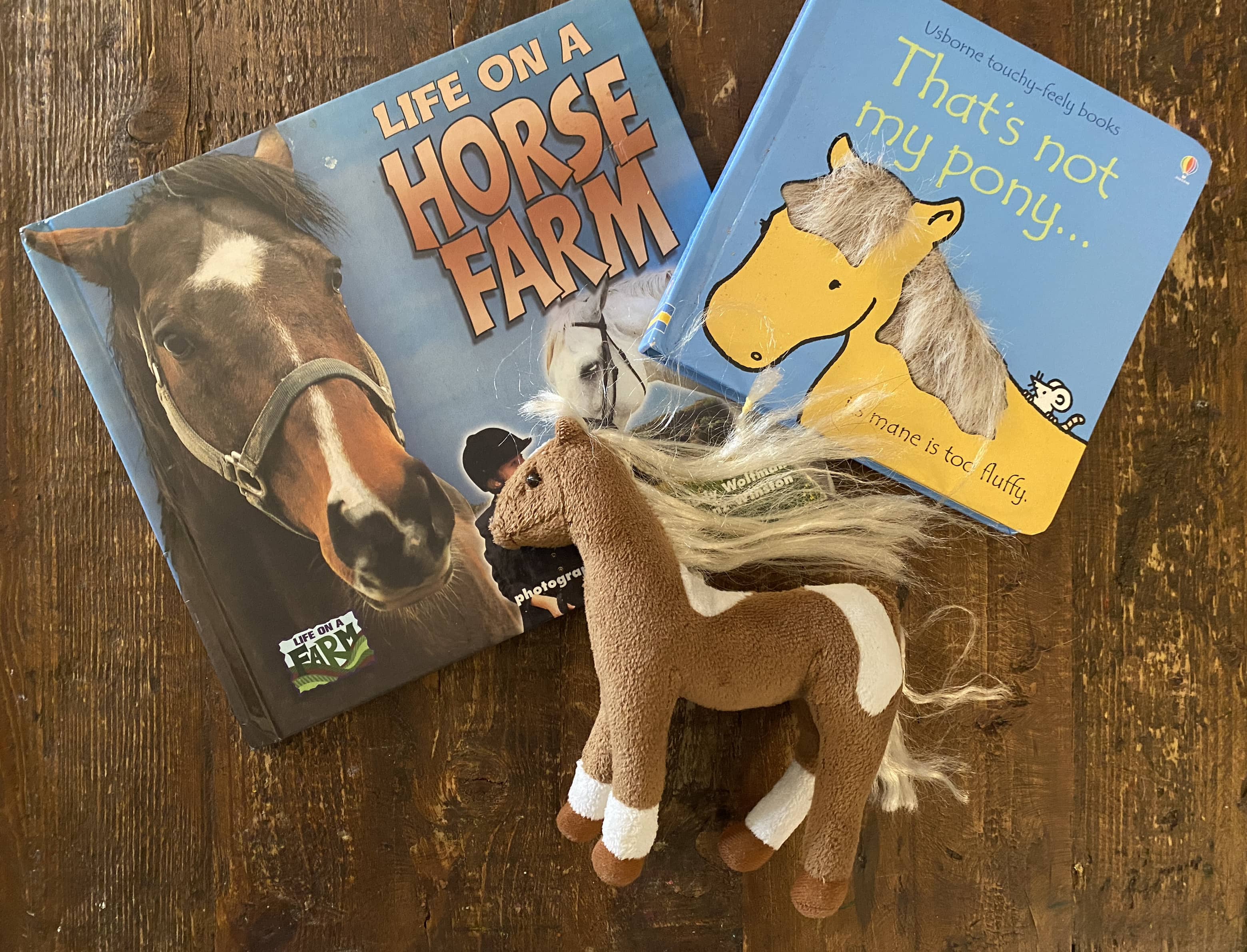 Horse Fun Pack - 2 books, stuffed animal