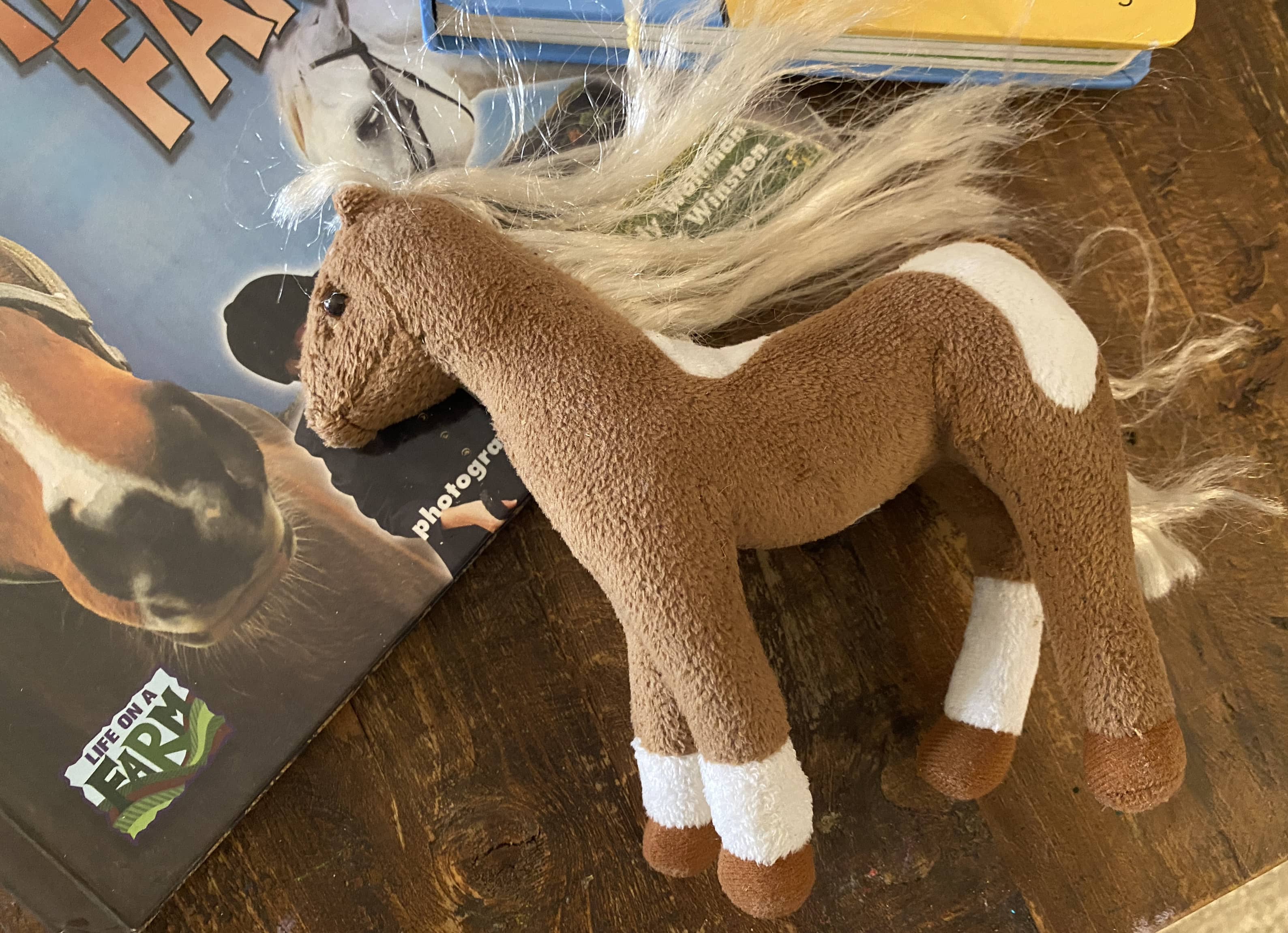Horse Fun Pack - 2 books, stuffed animal