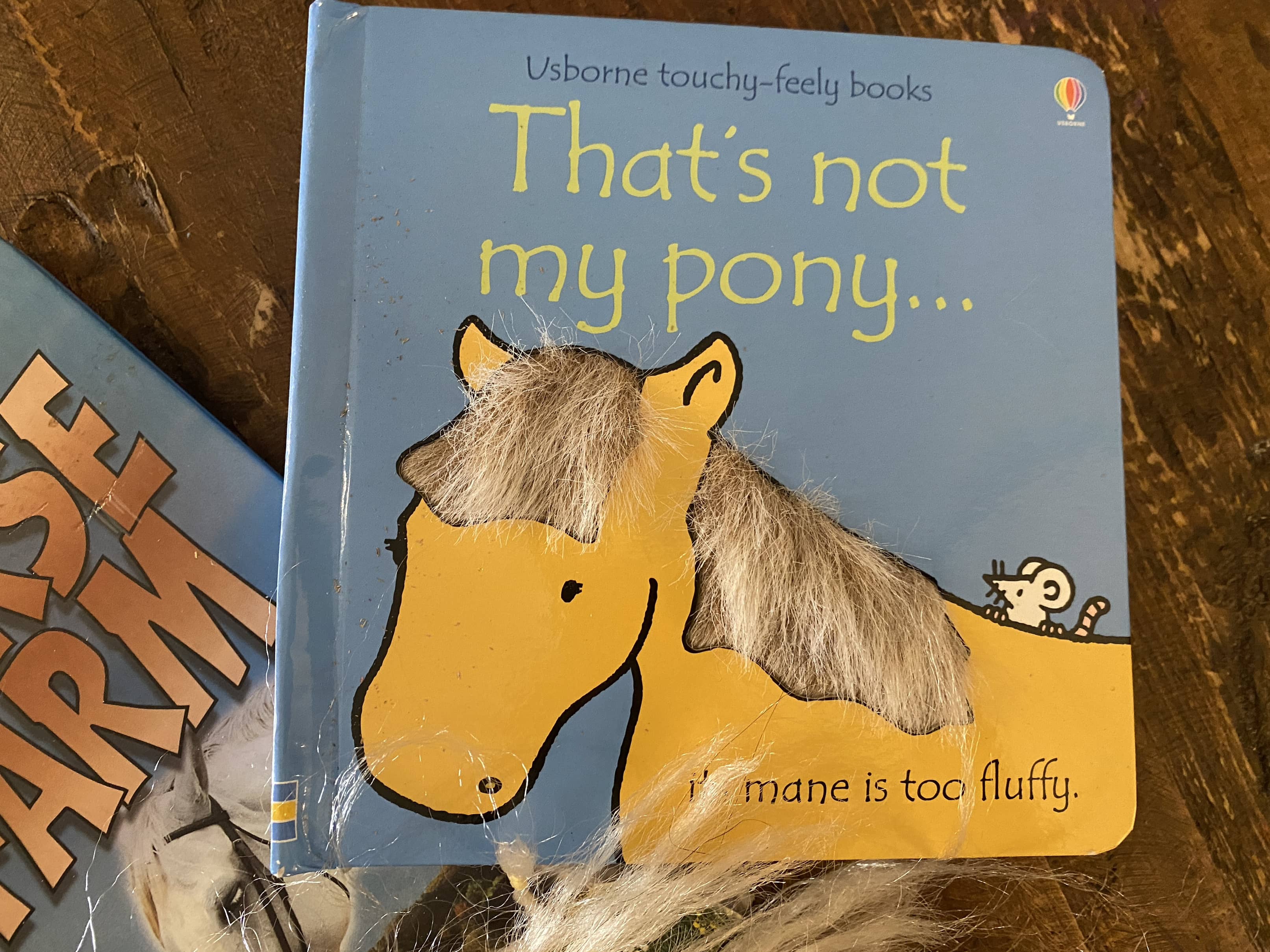 Horse Fun Pack - 2 books, stuffed animal