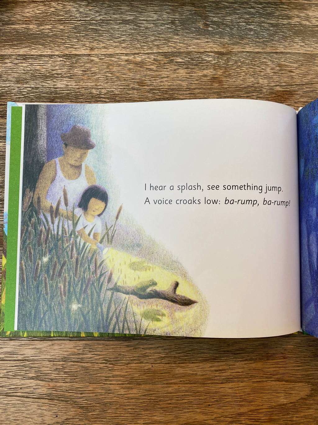 Summer Days and Nights