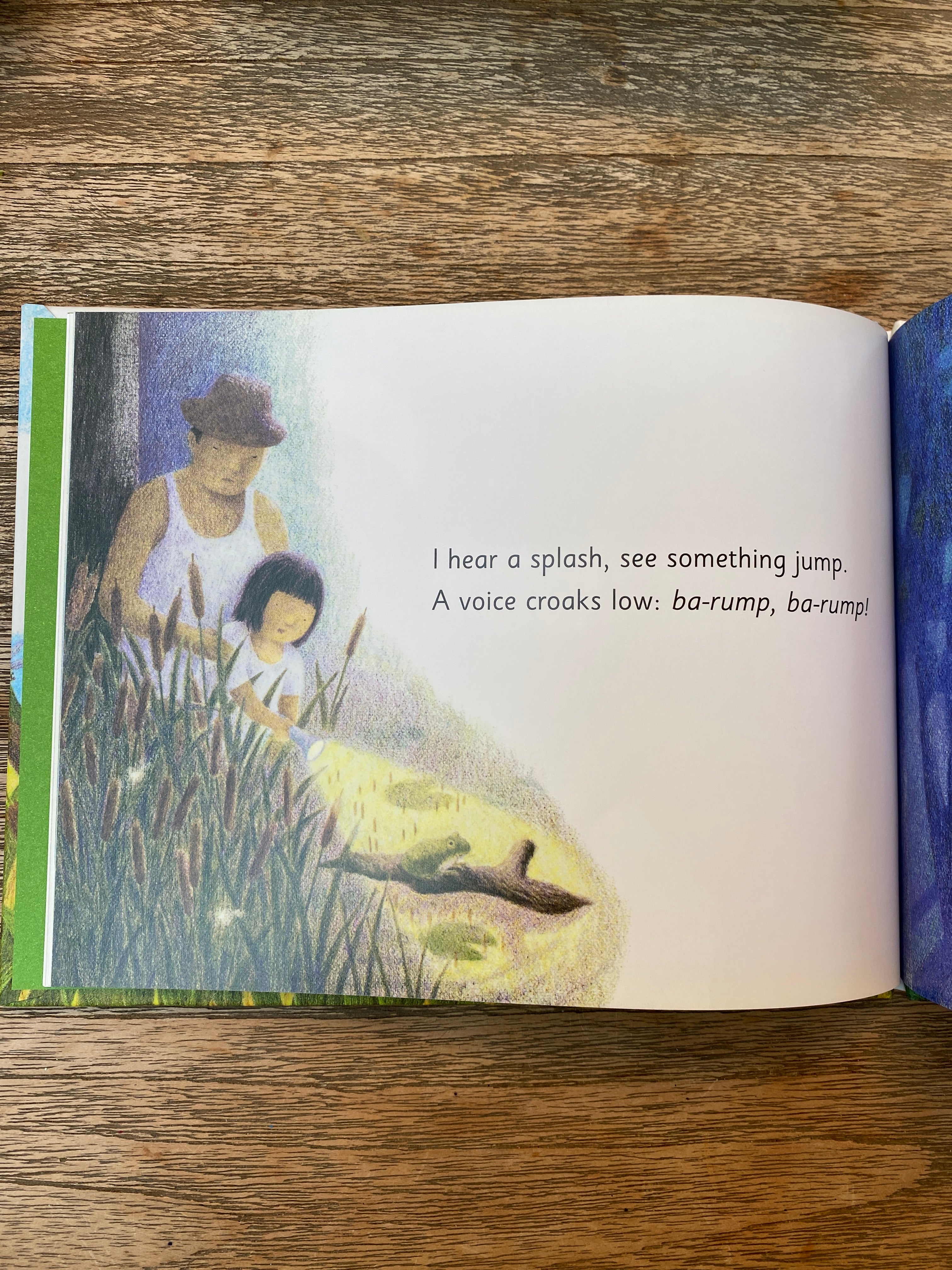 Summer Days and Nights