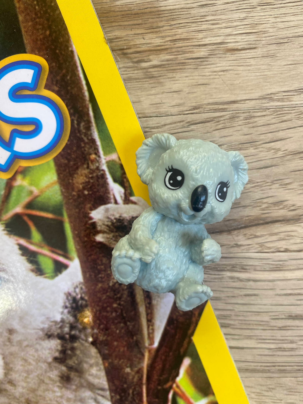 Koalas National Geographic Level 1 + koala