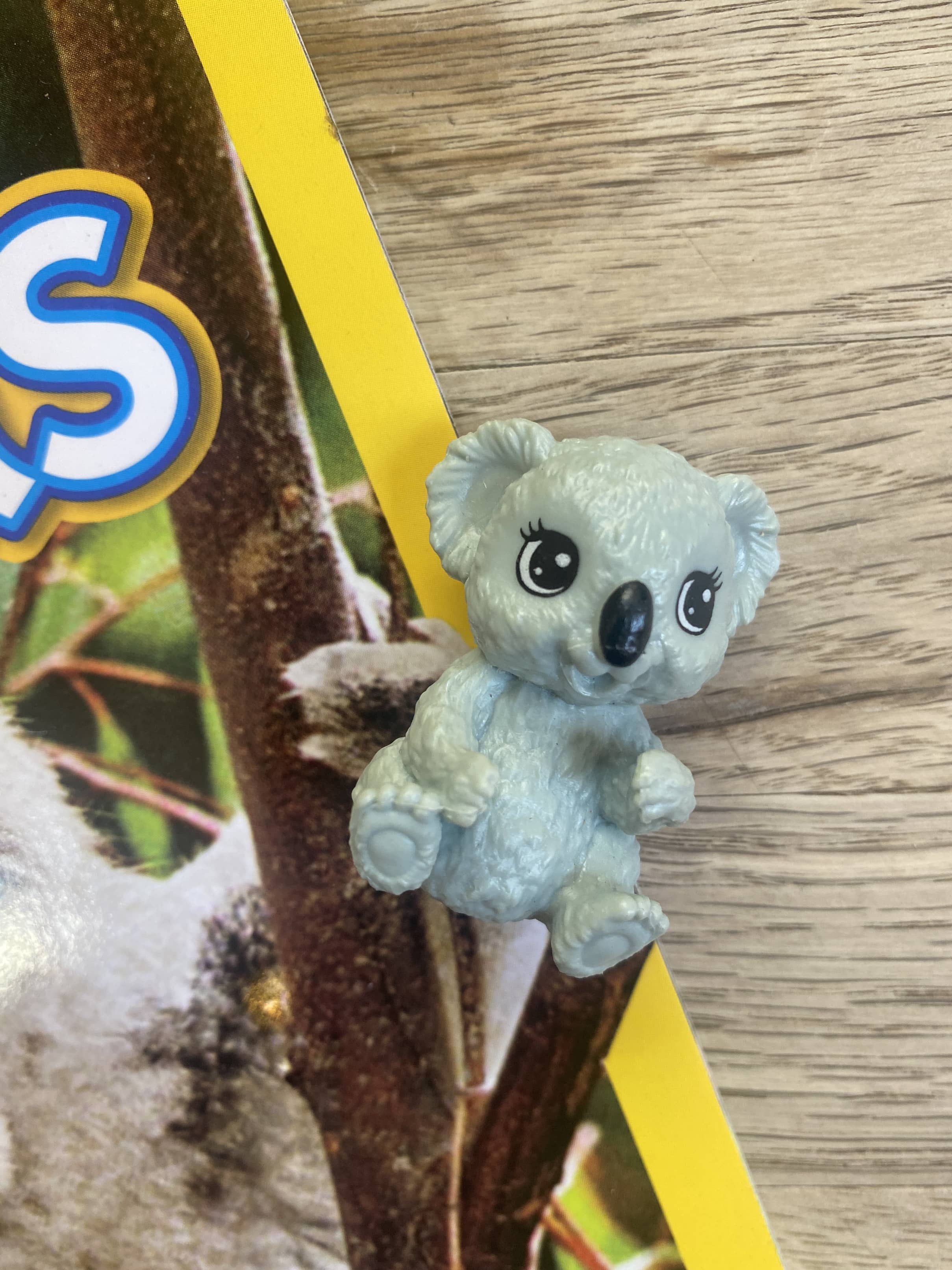 Koalas National Geographic Level 1 + koala